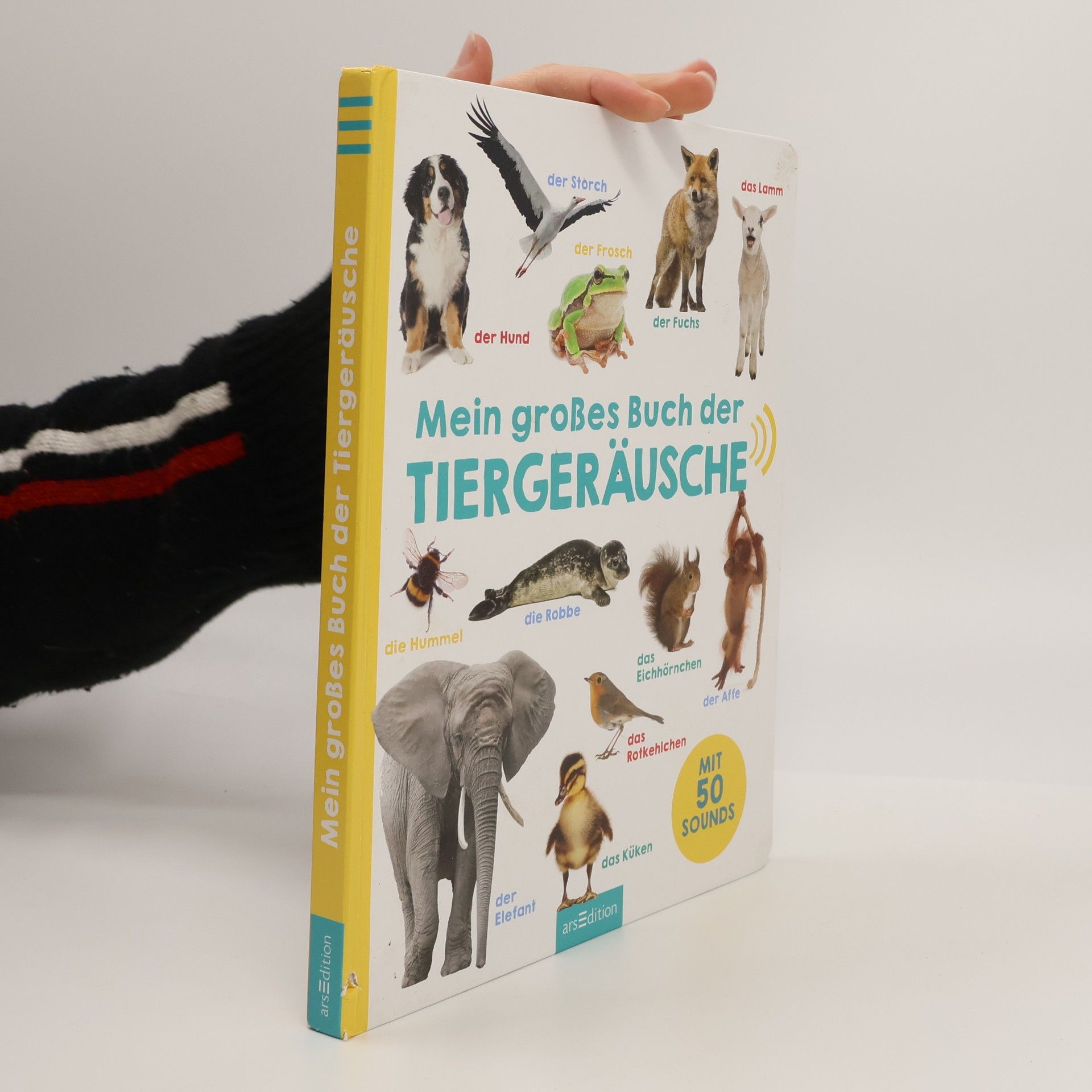 Autorenkollektiv Mein großes Buch der Tiergeräusche