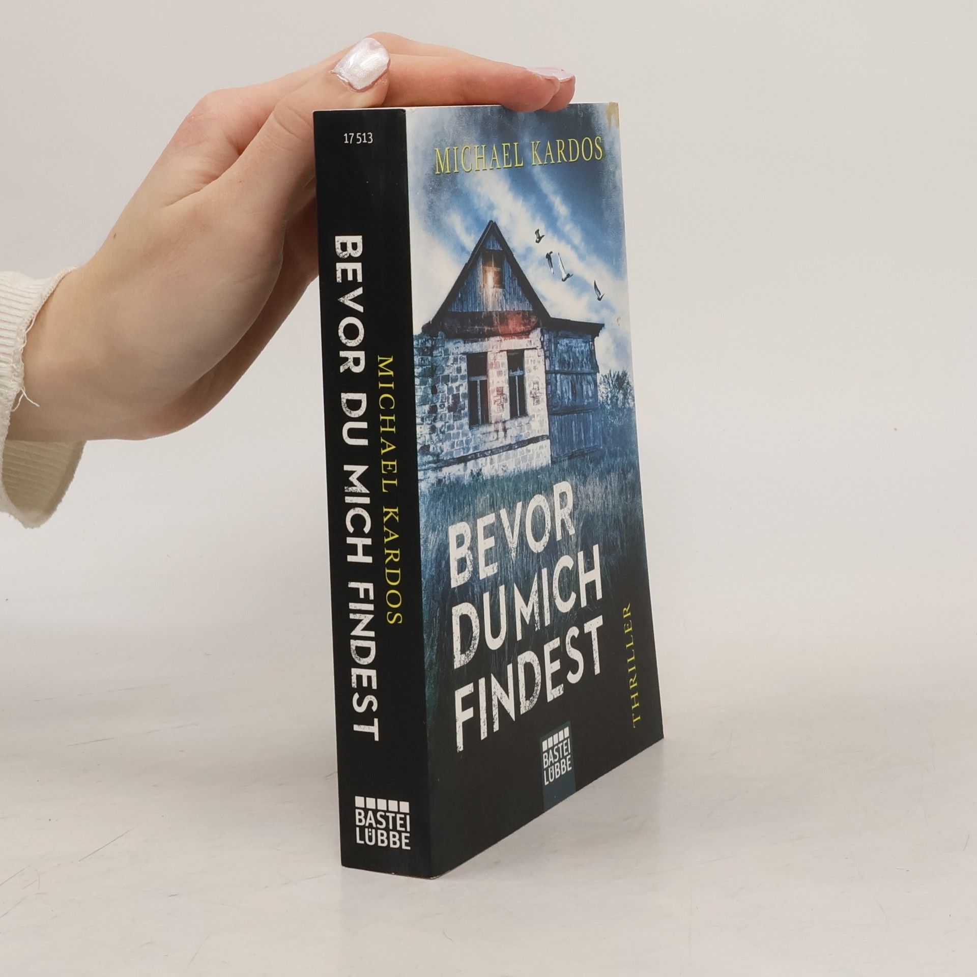 Michael Kardos Bevor du mich findest