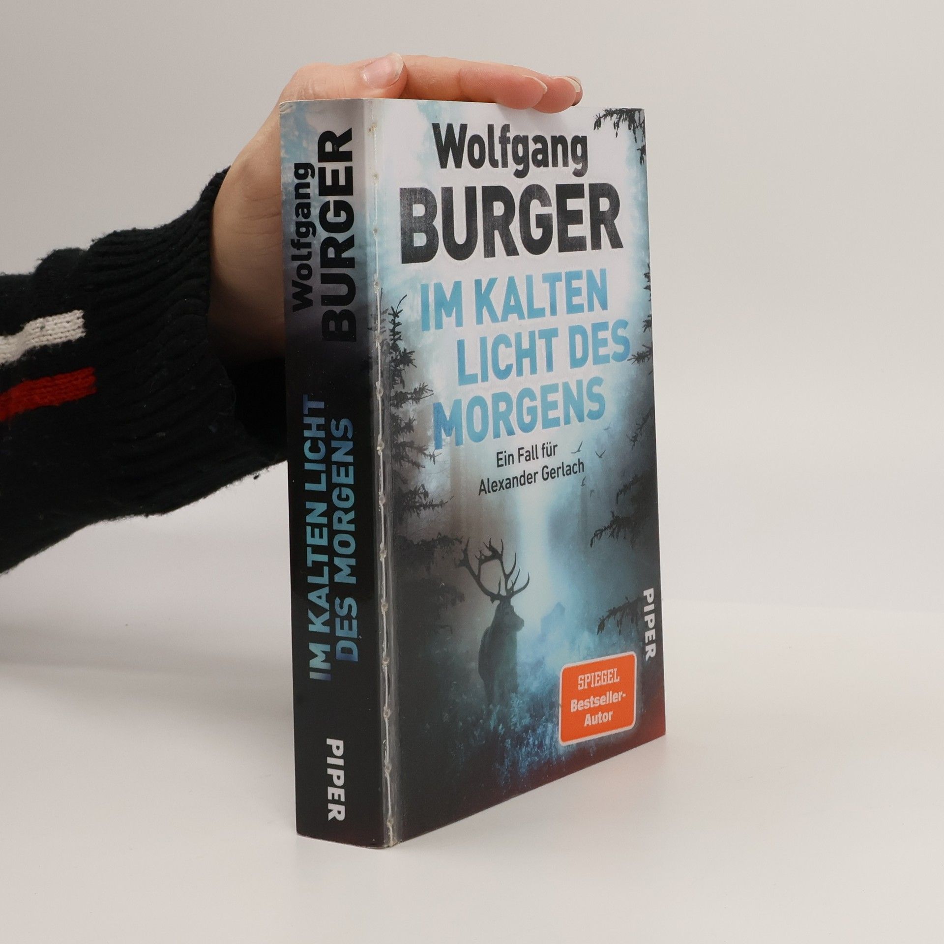 Im kalten Licht des Morgens / Kripochef Alexander Gerlach Bd.20