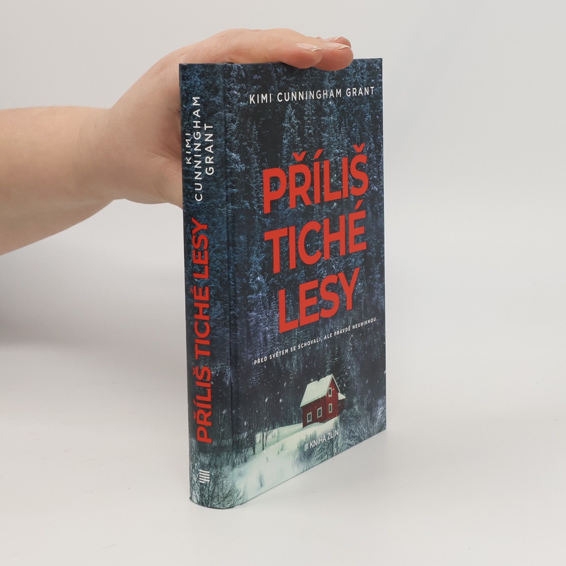 Kimi Cunningham Grant Příliš tiché lesy
