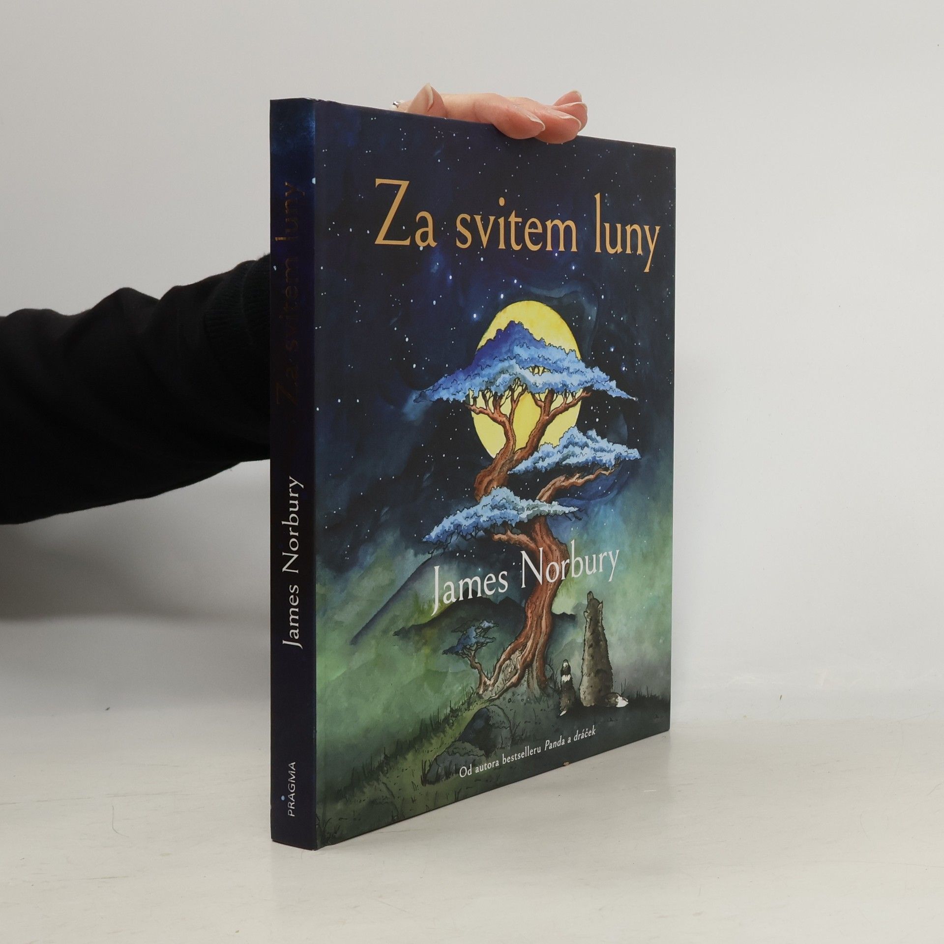 James Norbury Za svitem luny