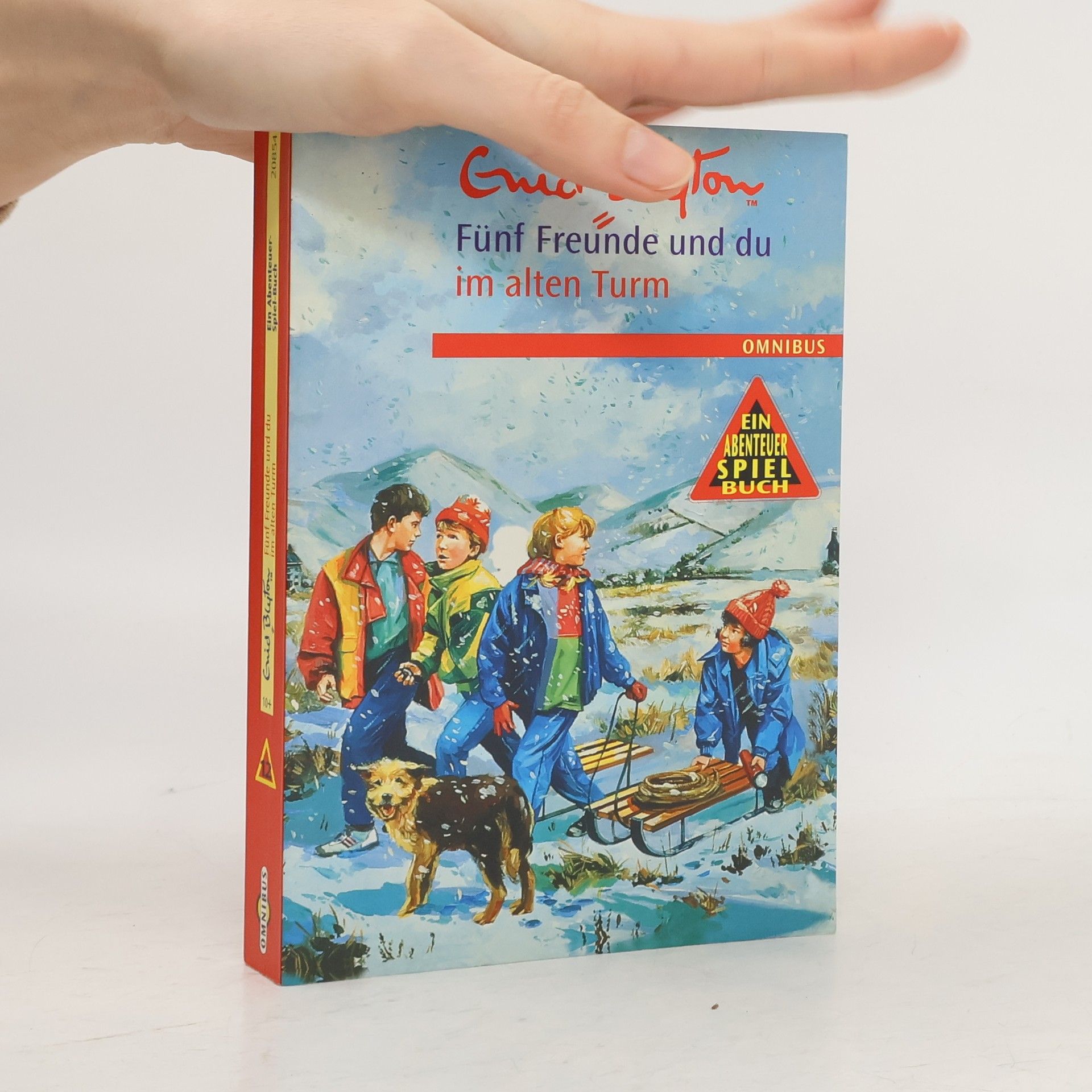Enid Blyton Fünf Freunde und Du im alten Turm