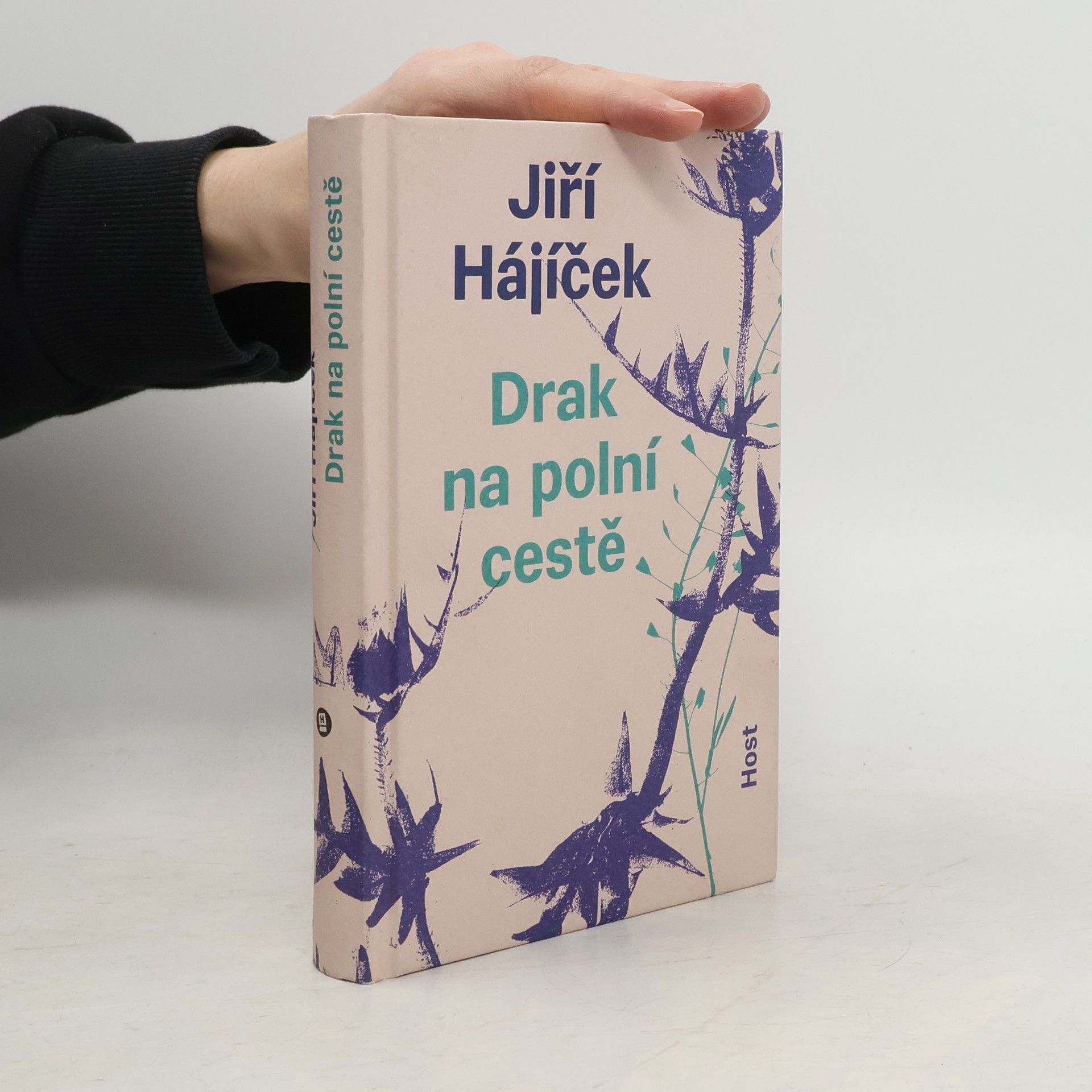 Jiří Hájíček Drak na polní cestě