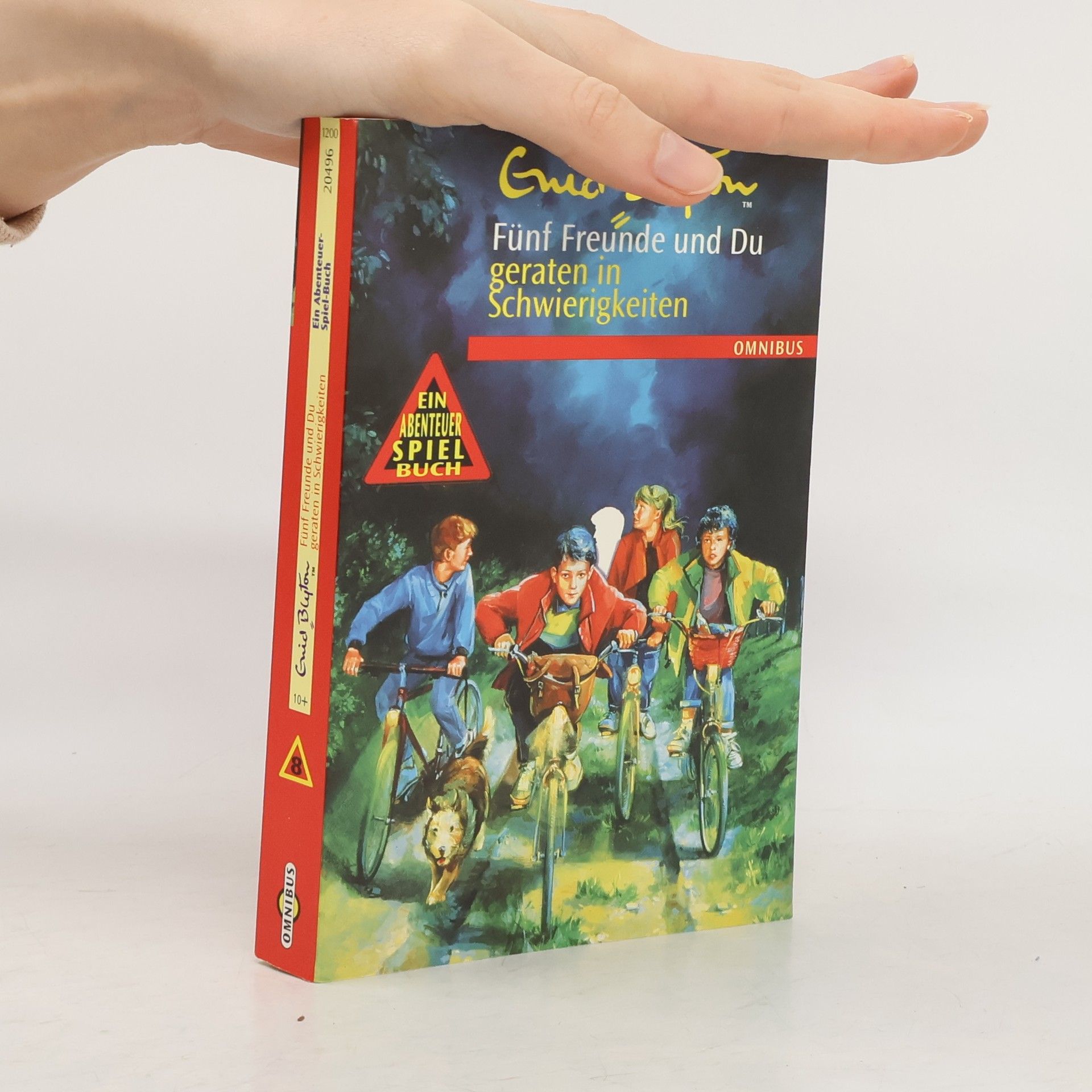 Enid Blyton Fünf Freunde und Du geraten in Schwierigkeiten