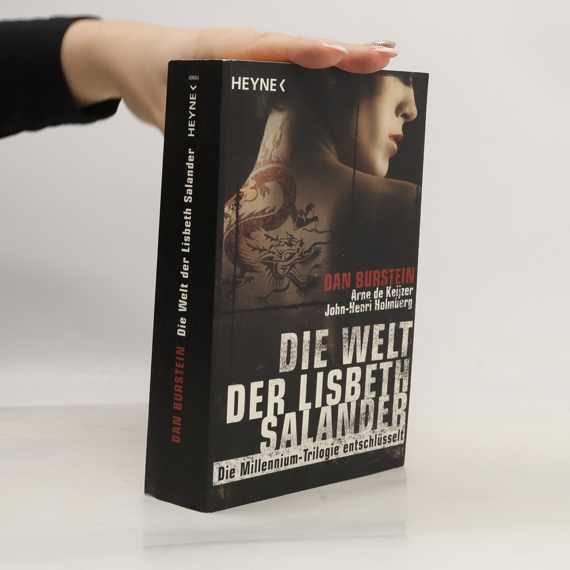 Dan Burstein Die Welt der Lisbeth Salander
