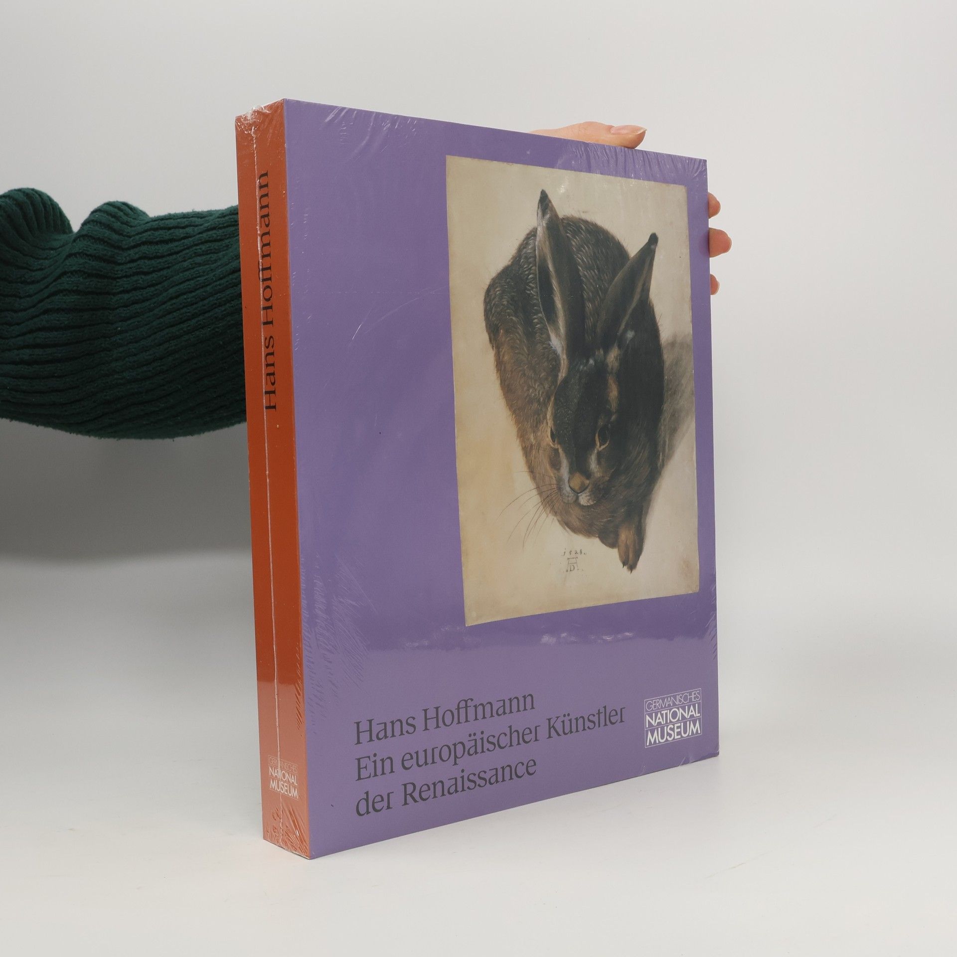 Ein europäischer der Renaissance