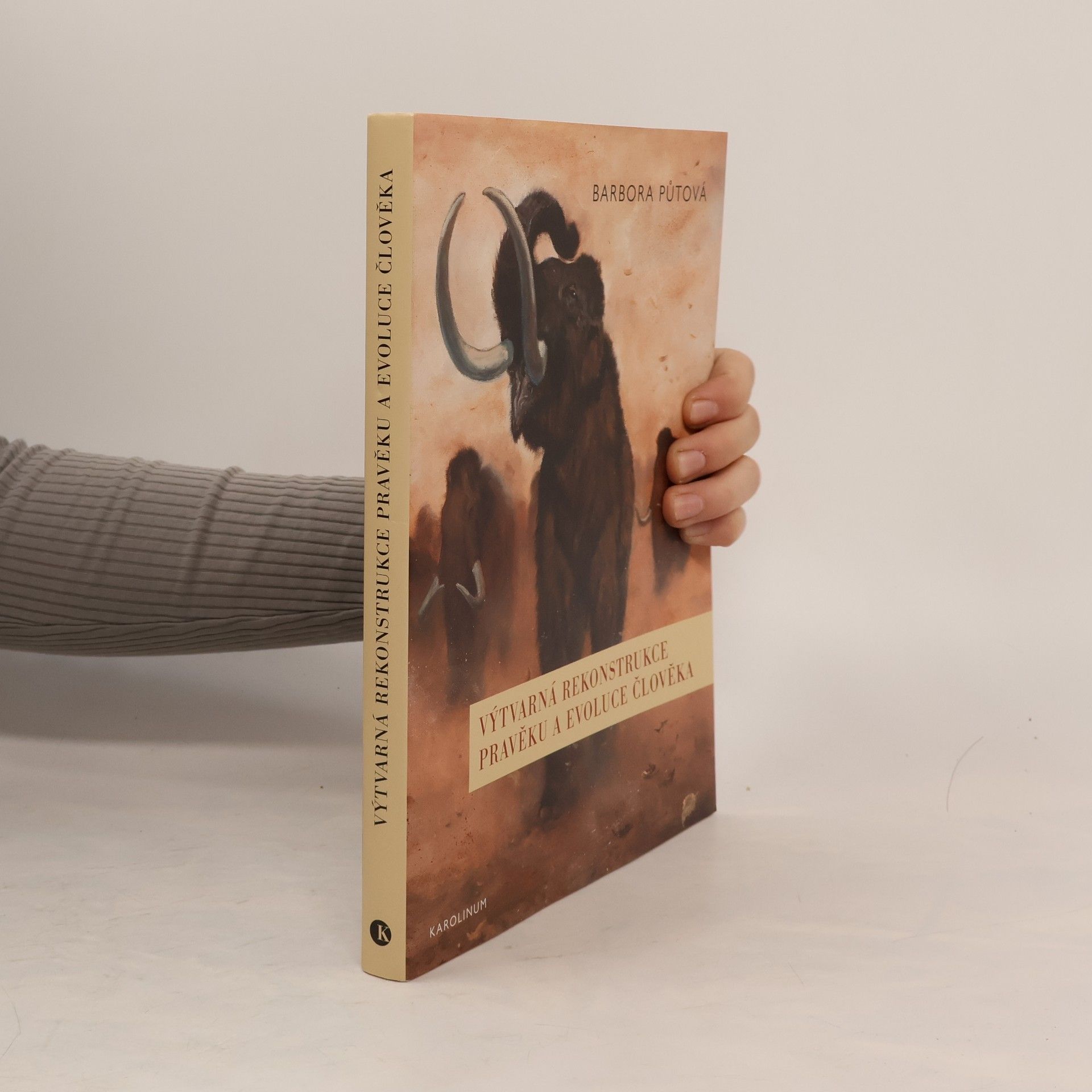 Výtvarná rekonstrukce pravěku a evoluce člověka