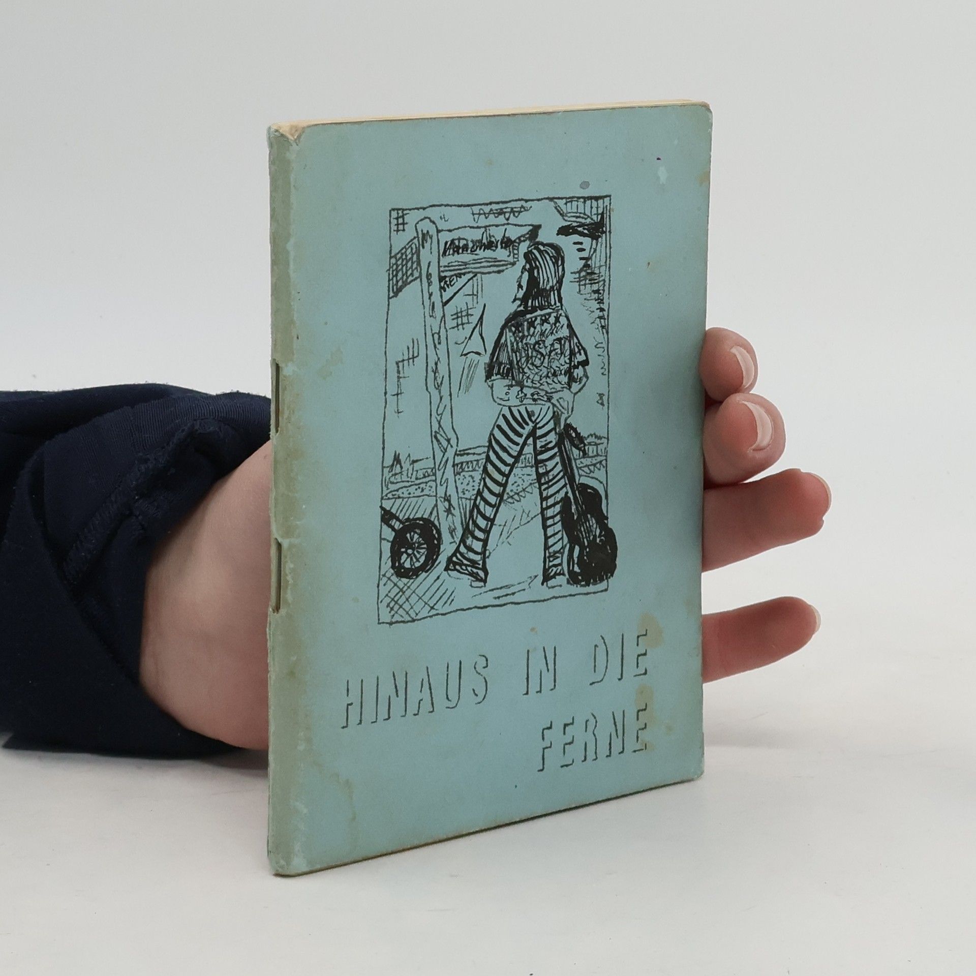 Wolfgang Smetana Hinaus in die Ferne