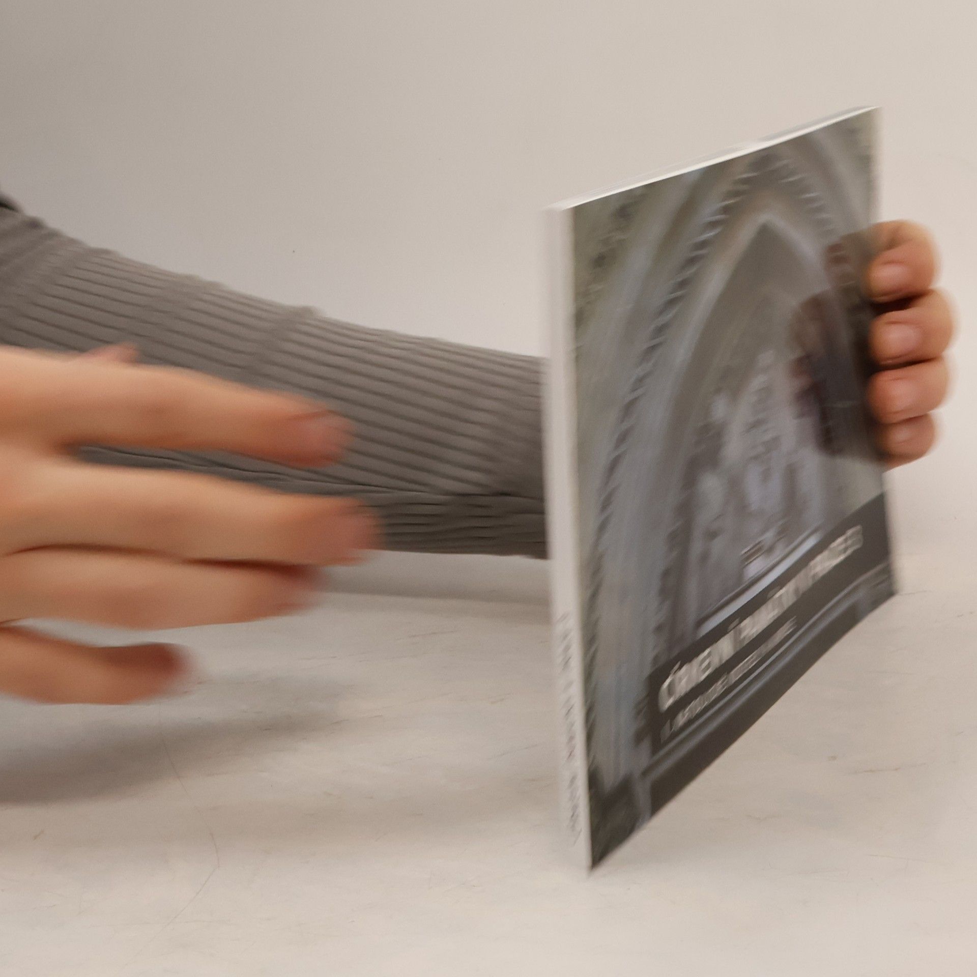 Církevní památky v Praze 3. , I. Katolické kostely a kaple