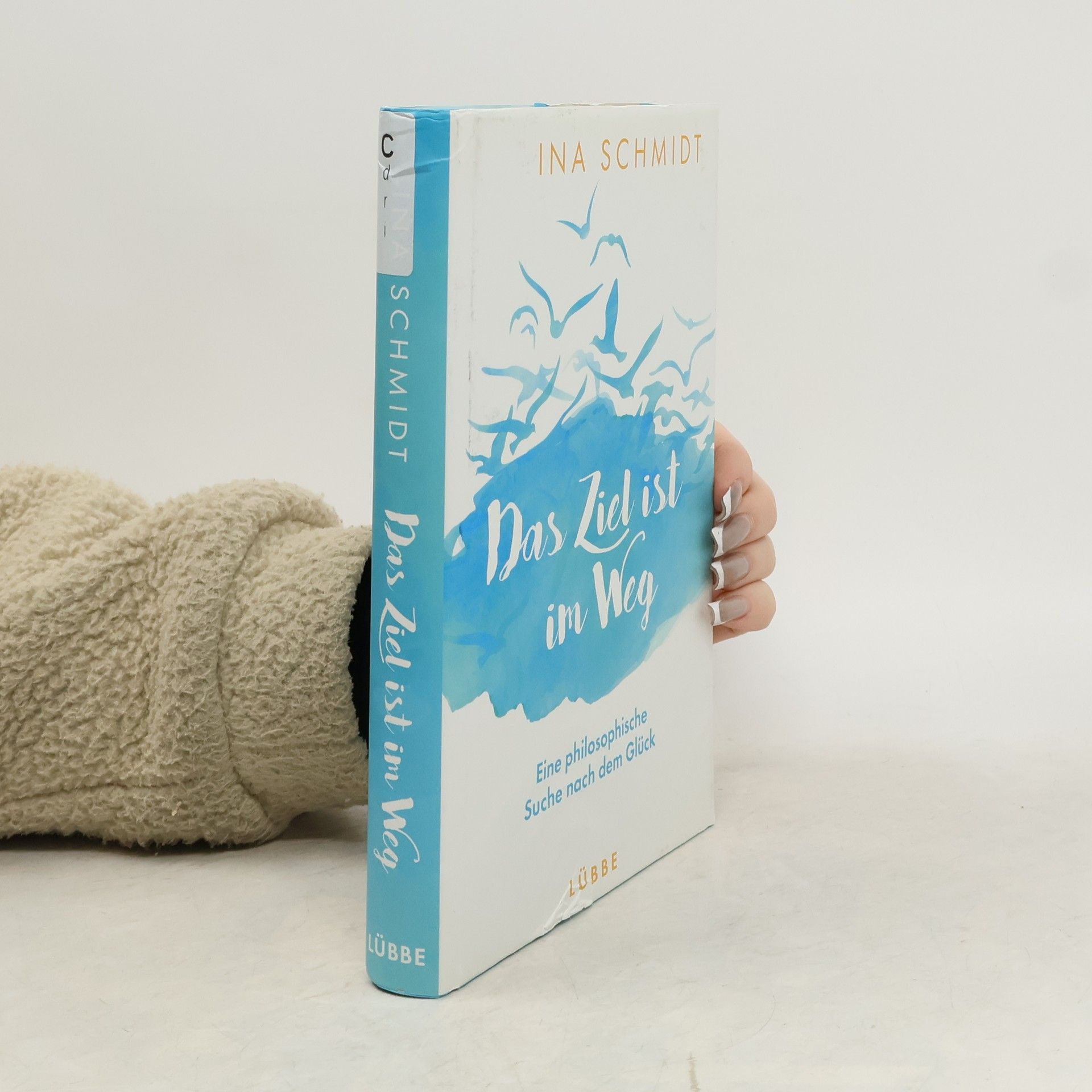 Ina Schmidt Das Ziel ist im Weg