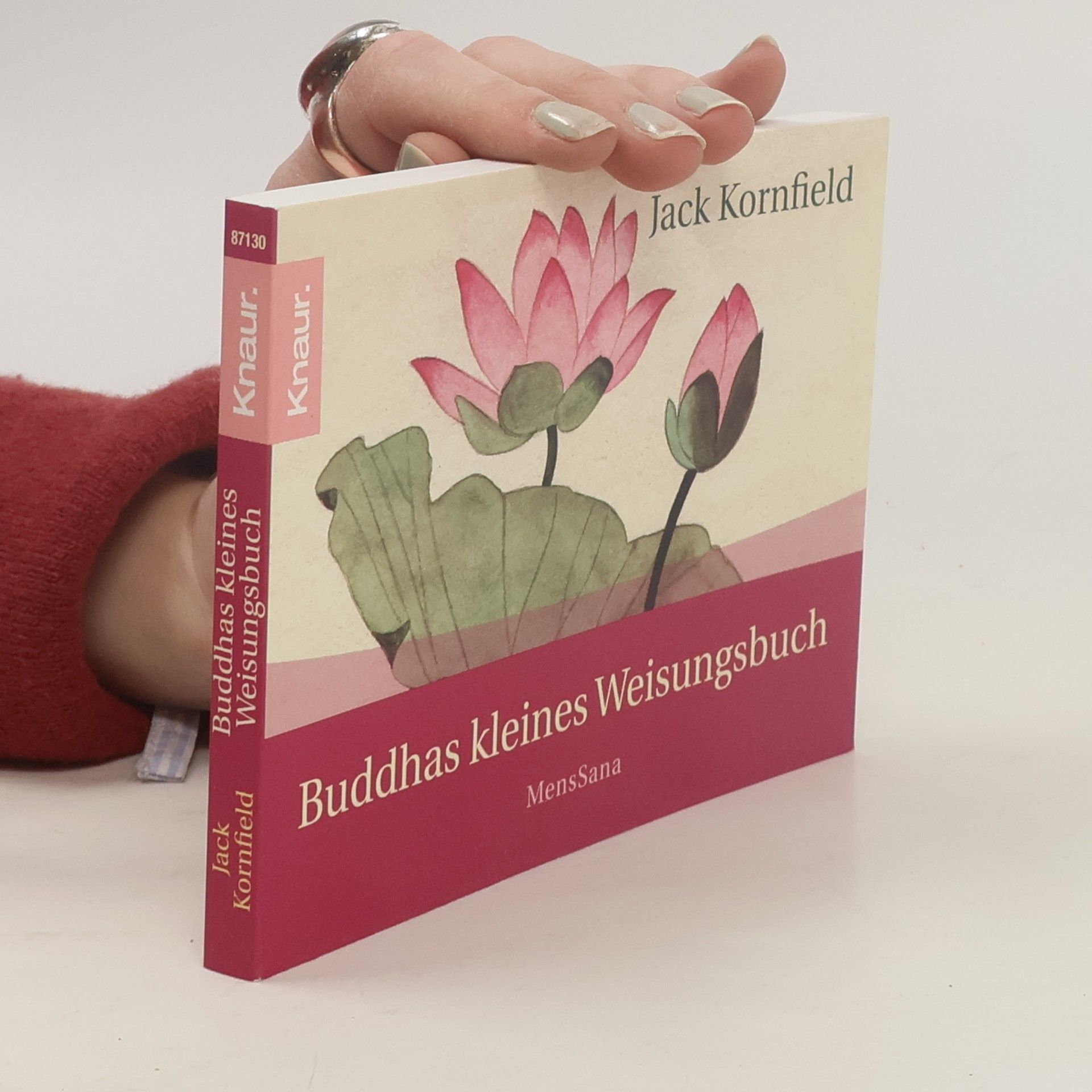 Jack Kornfield Buddhas kleines Weisungsbuch