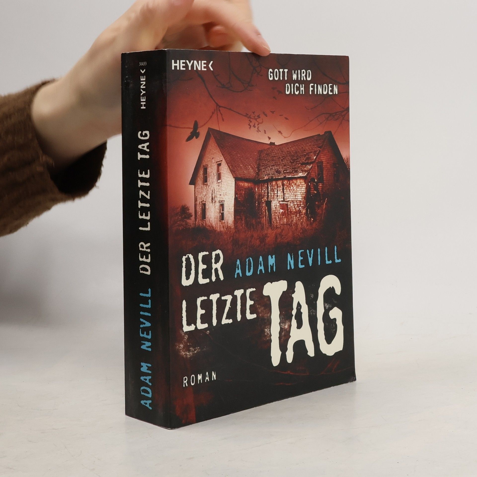 Der letzte Tag. Roman