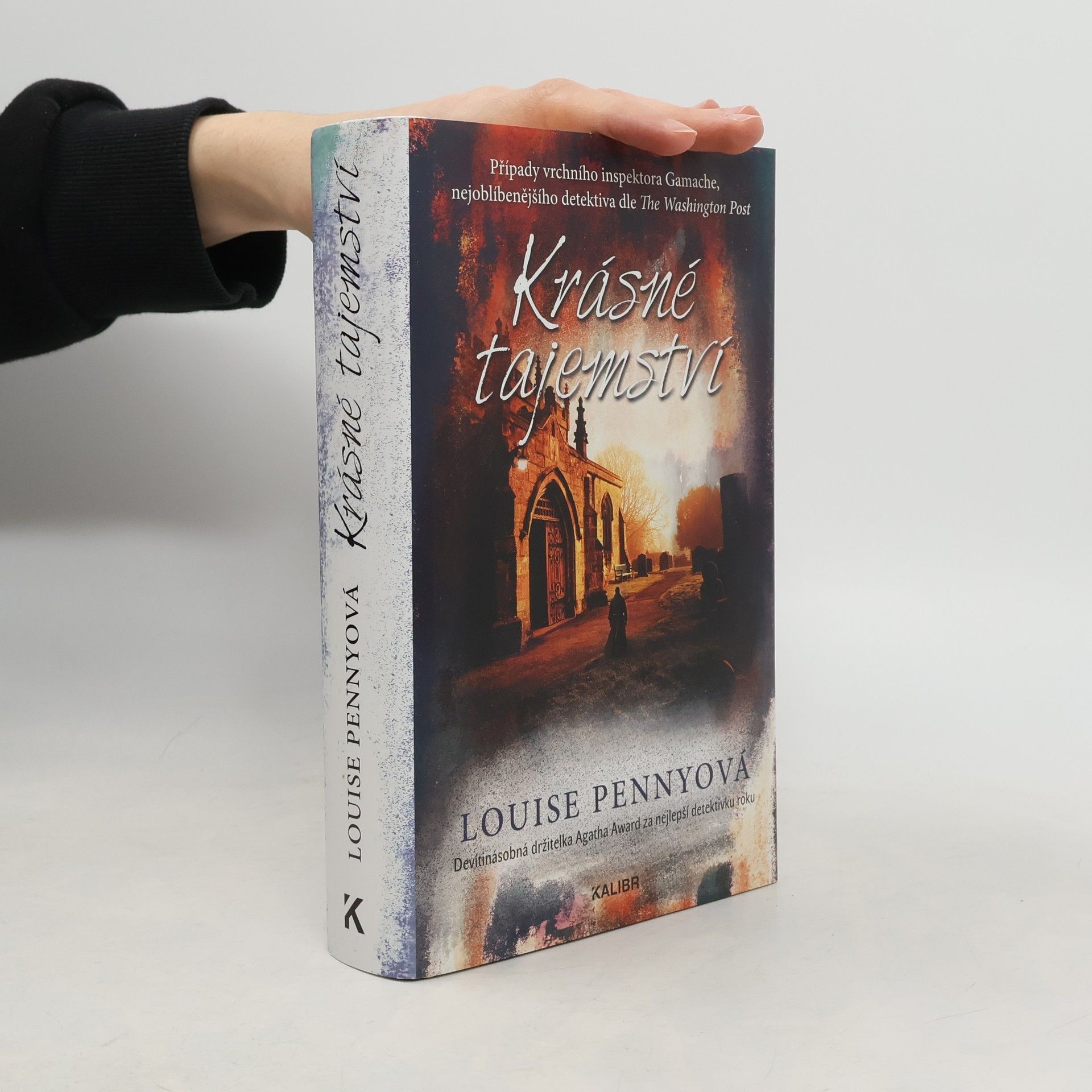 Louise Penny Krásné tajemství : případy vrchního inspektora Gamache