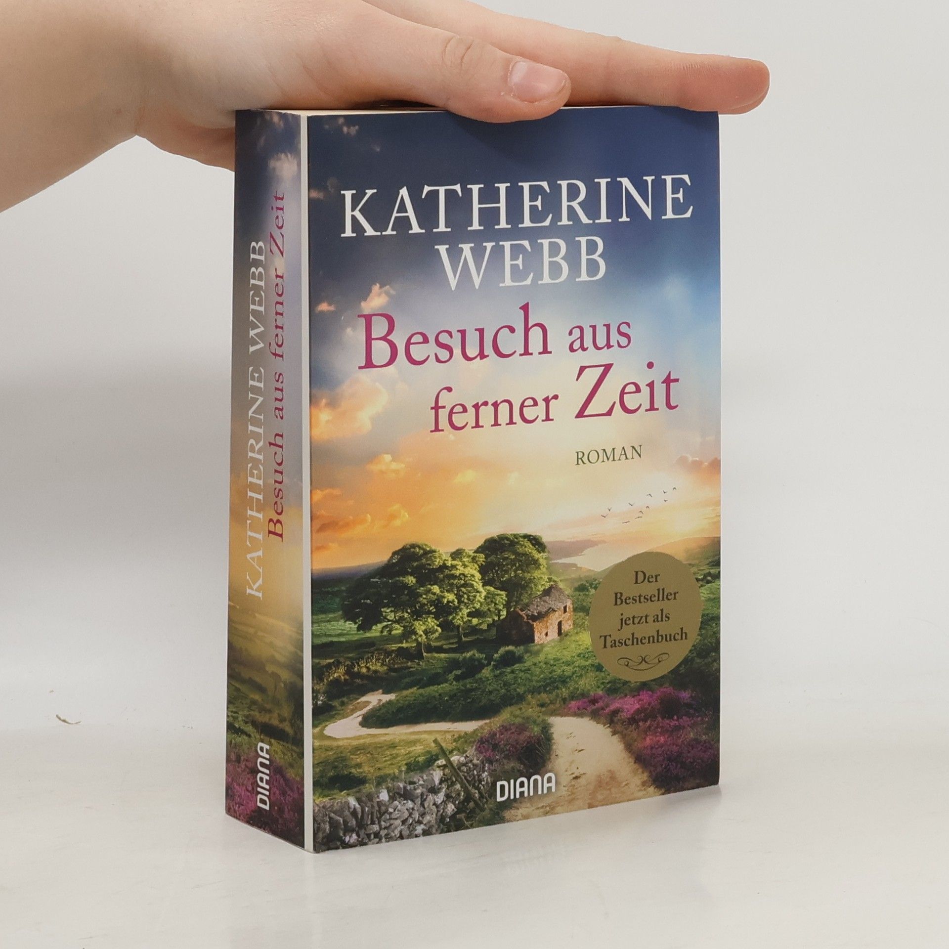 Katherine Webb Besuch aus ferner Zeit