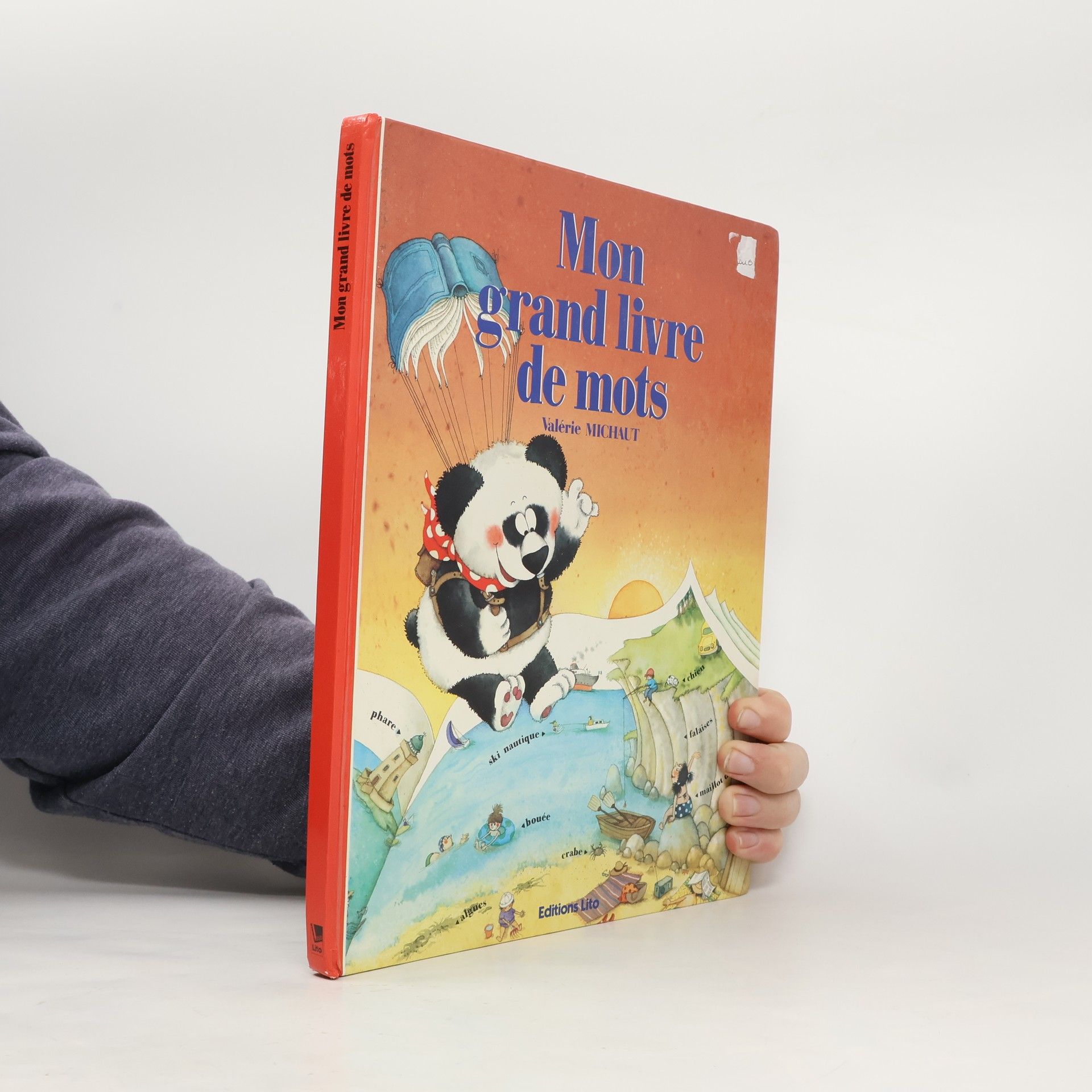 Mon grand livre de mots