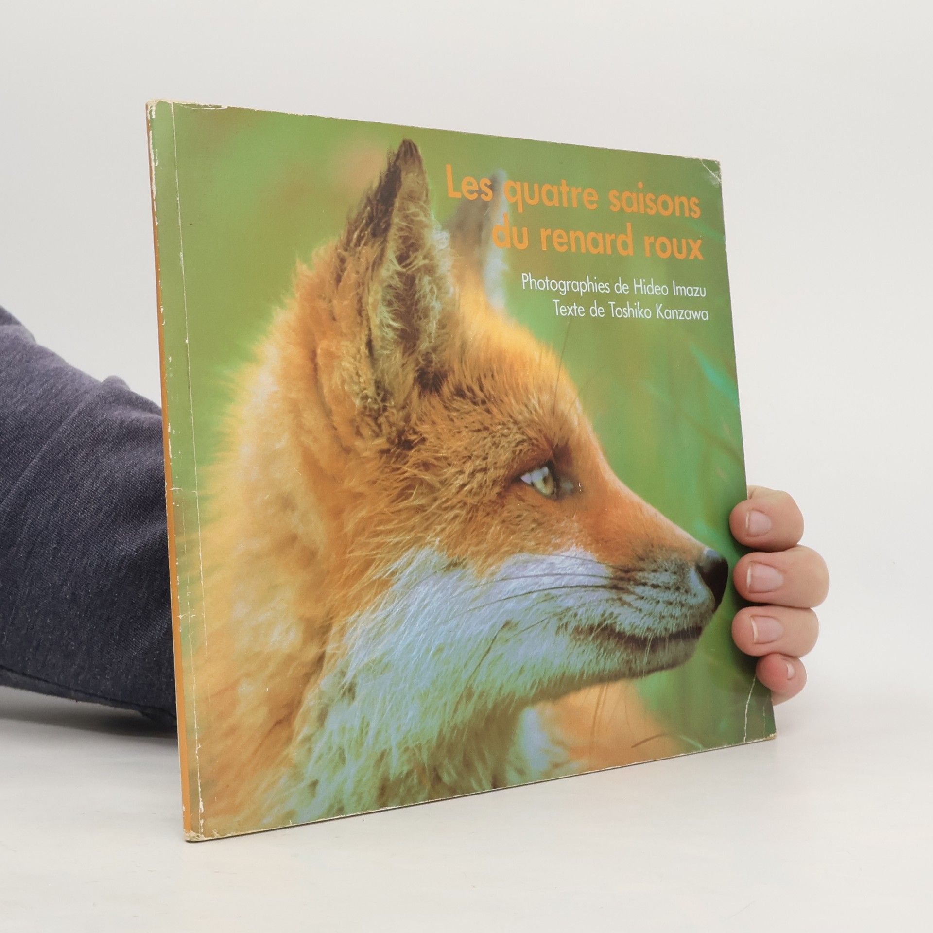 Les quatre saisons du renard roux