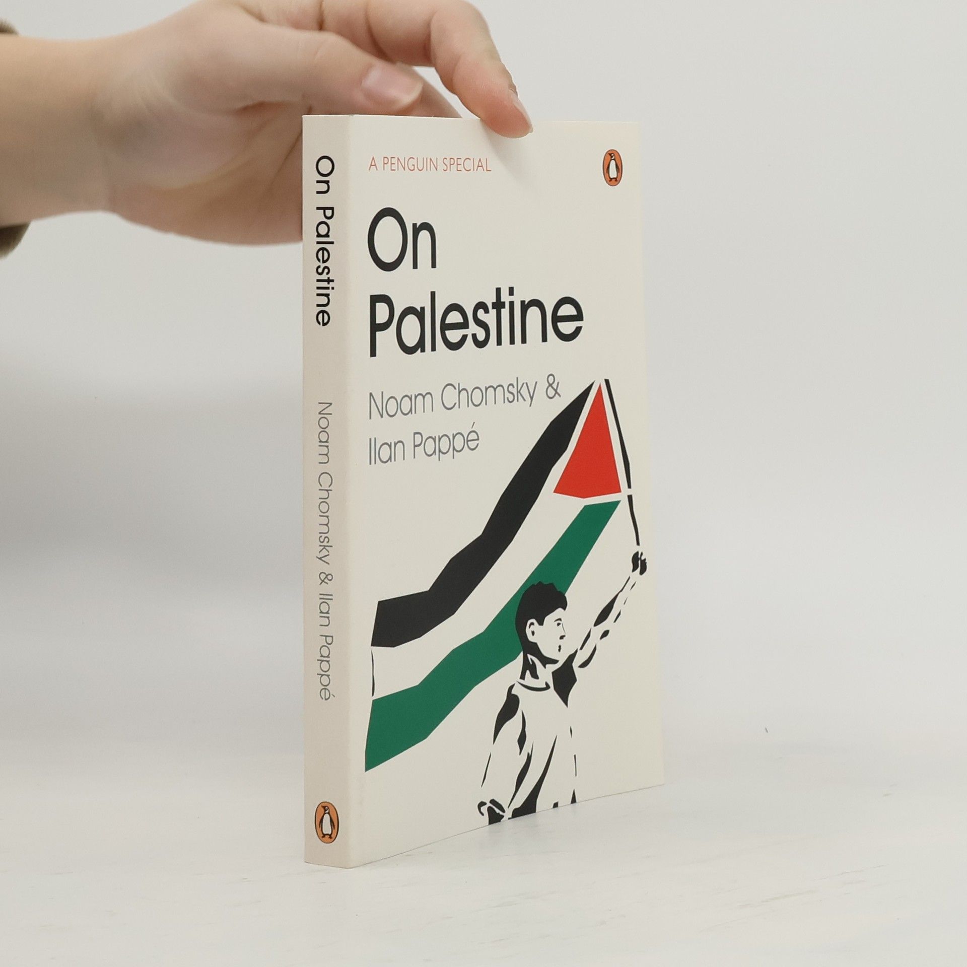 Noam Chomsky On Palestine