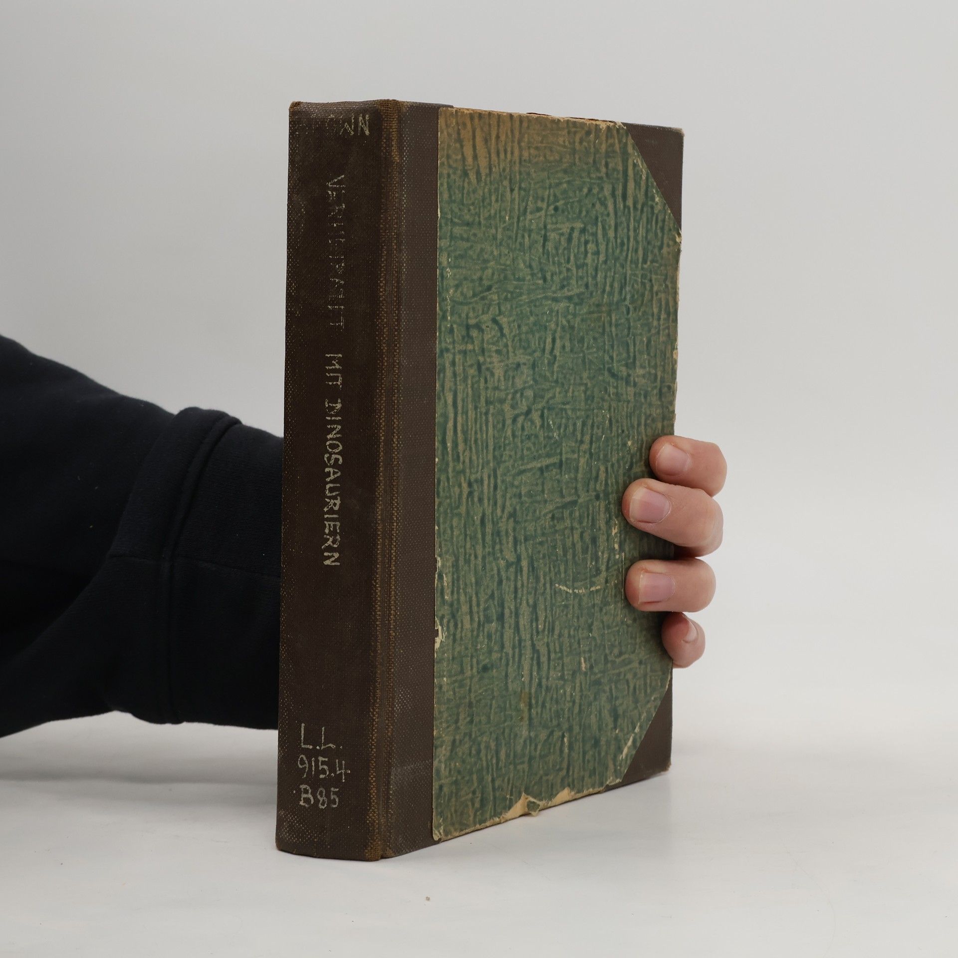 Verheiratet mit Dinosaurien