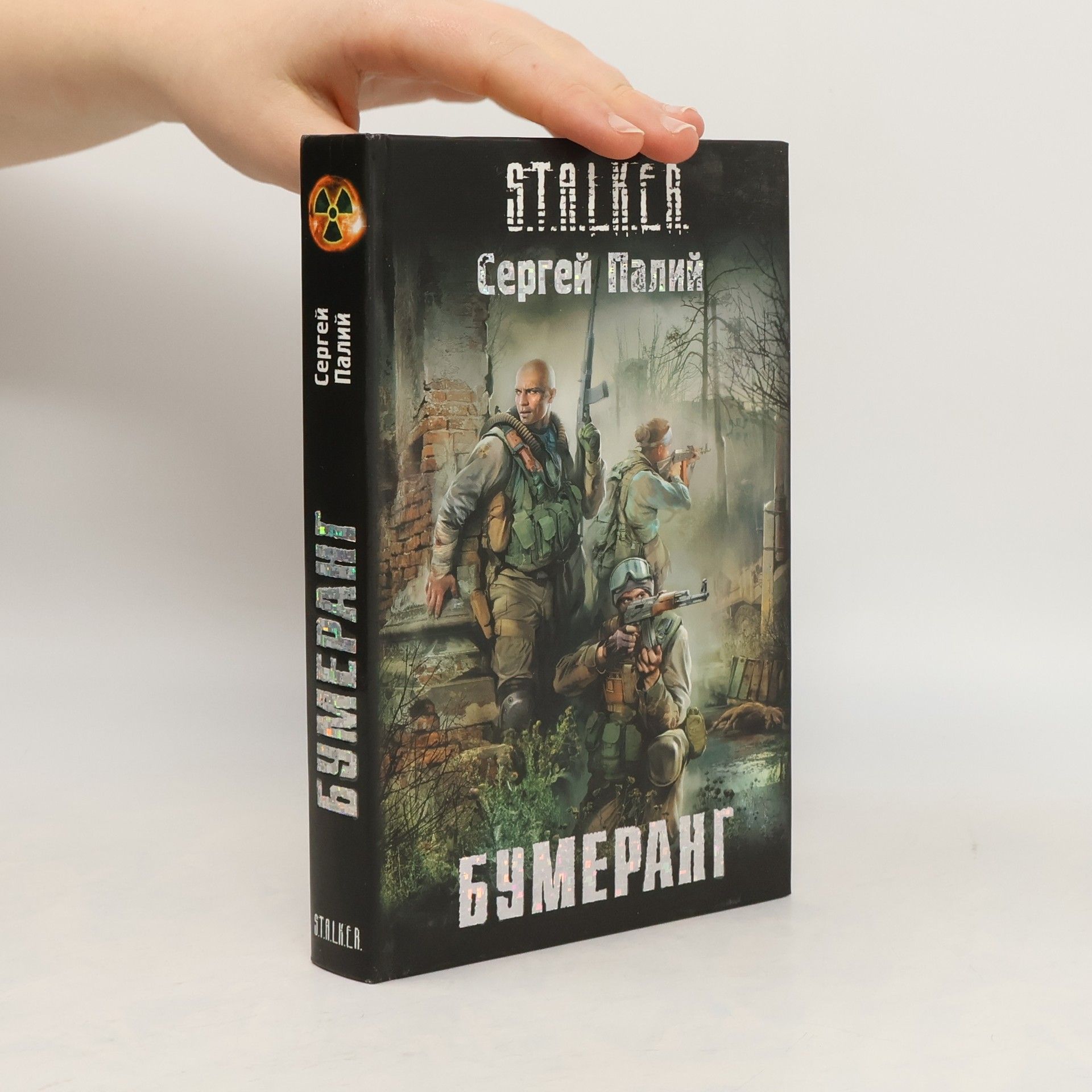 Сергей Викторович Палий Бумеранг