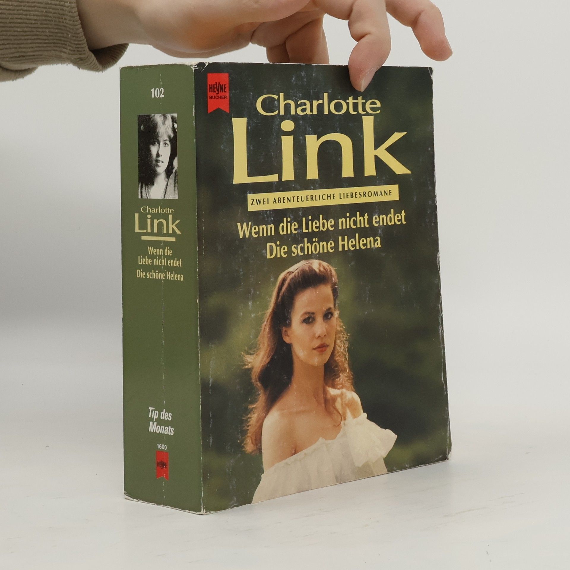 Charlotte Link Wenn die Liebe nicht endet