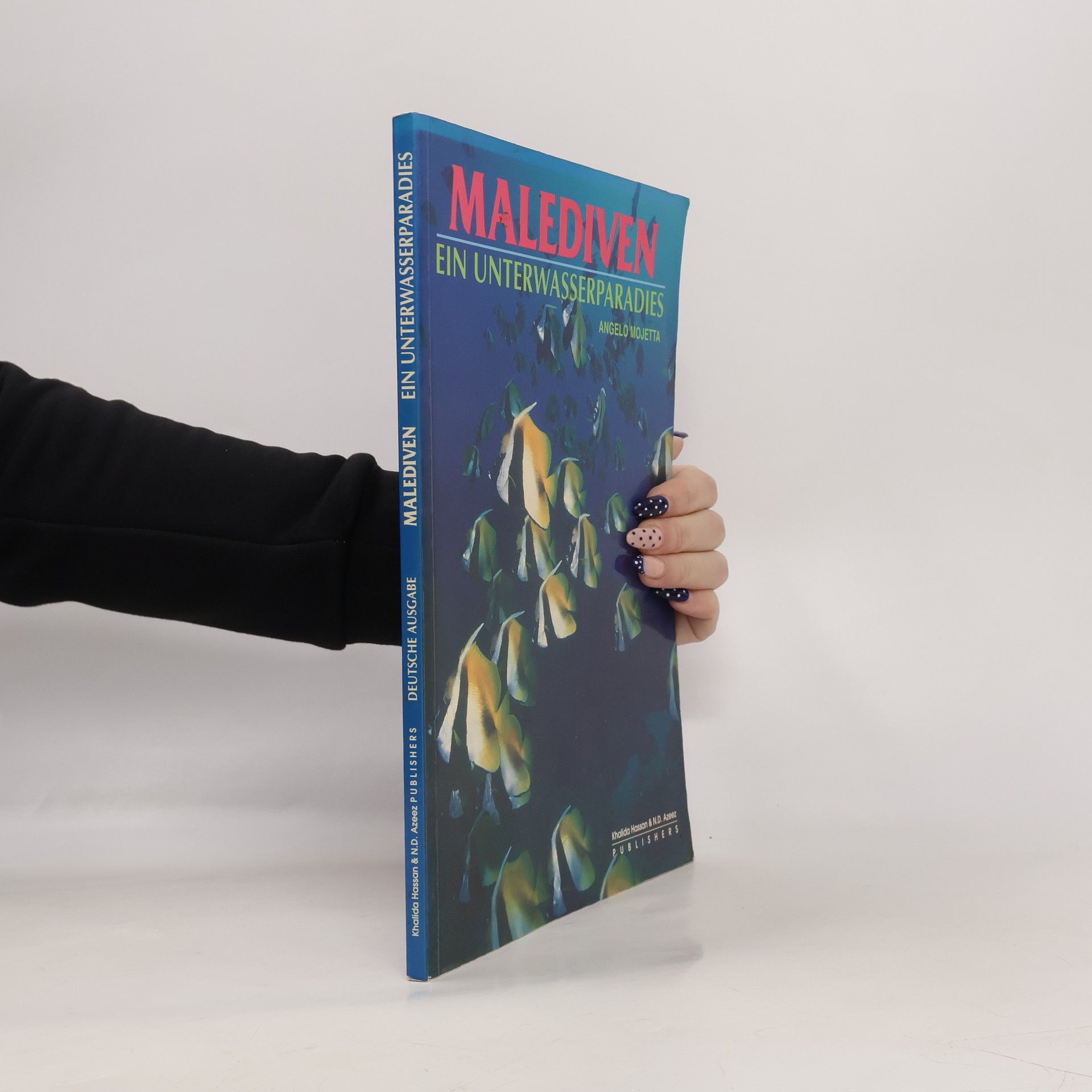 Angelo Mojetta Rotes Meer