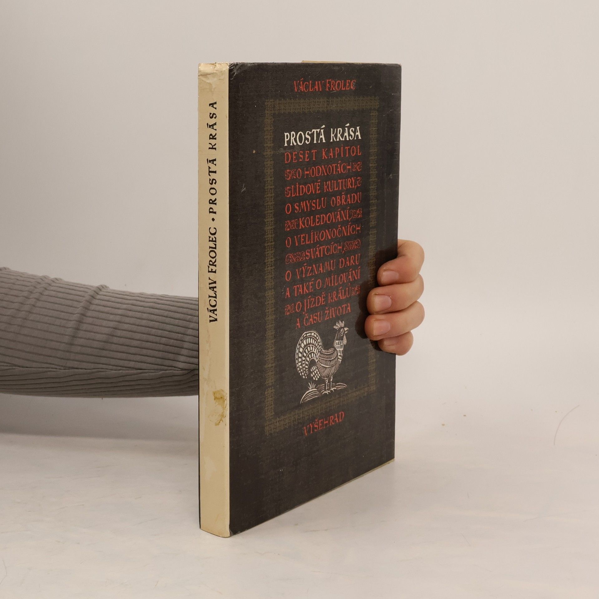 Václav Frolec Prostá krása