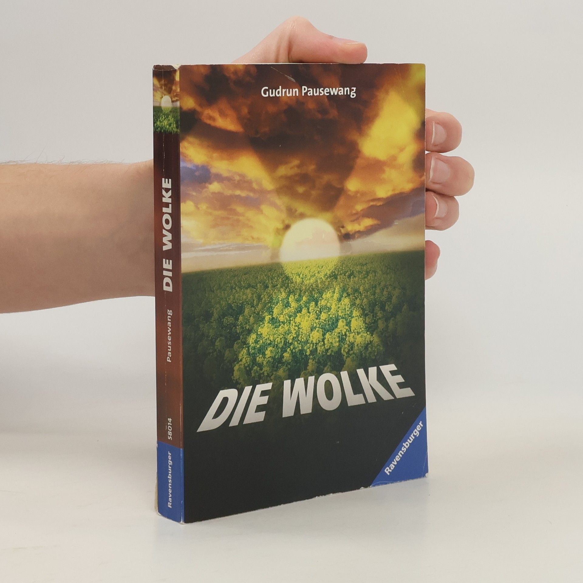 Gudrun Pausewang Die Wolke