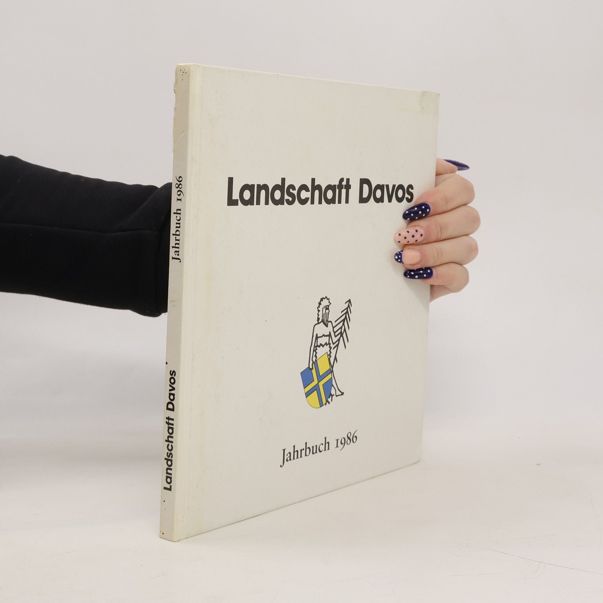 Autores varios Landschaft Davos