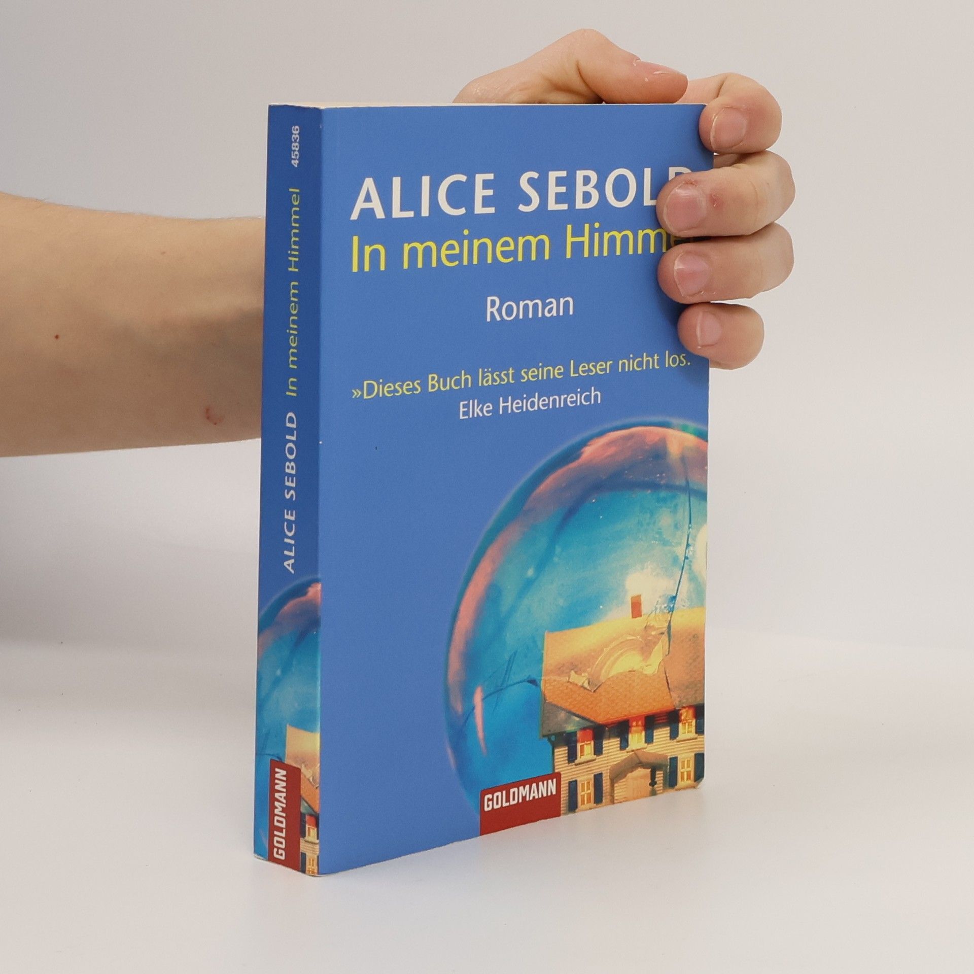 Alice Sebold In meinem Himmel