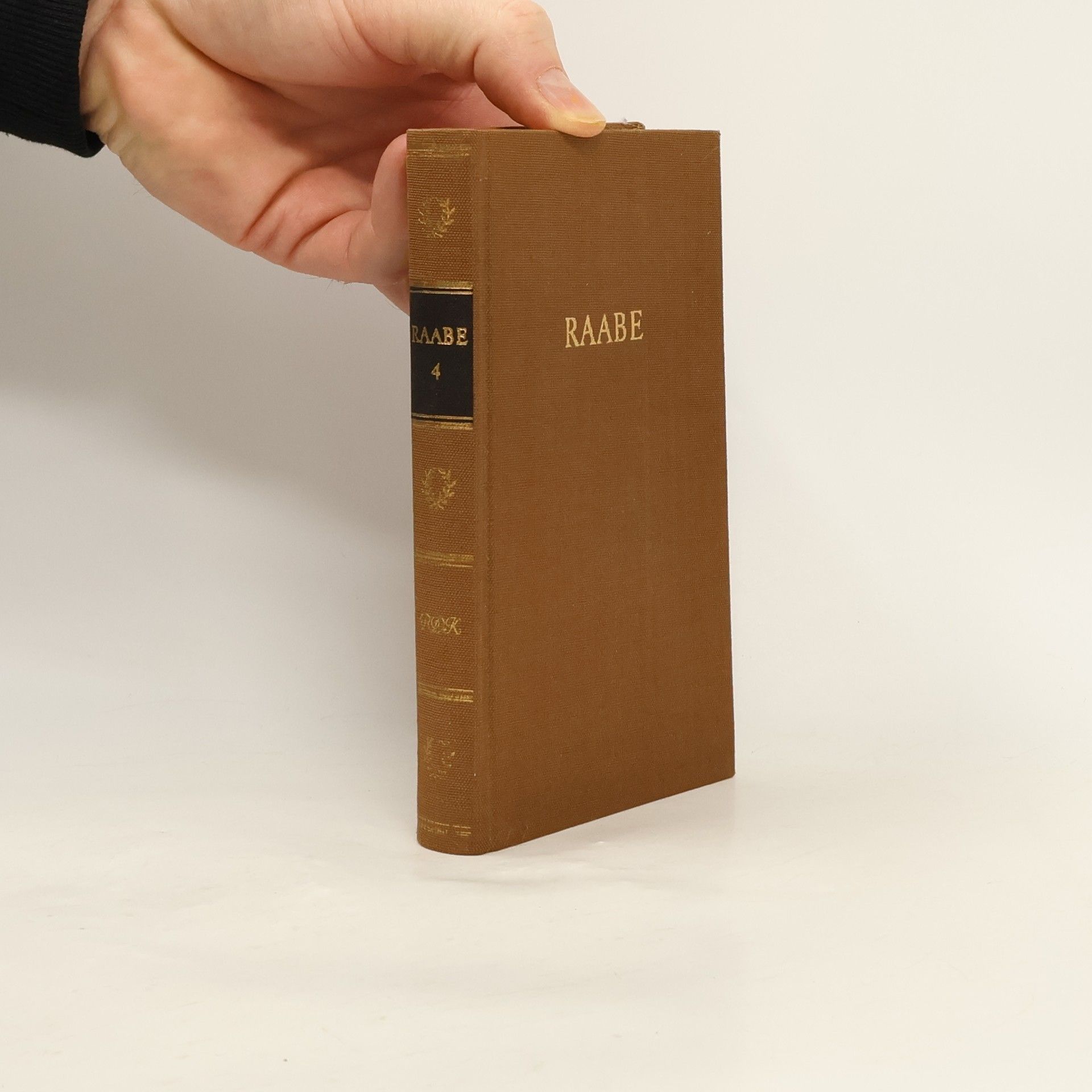 Autores varios Raabe 4