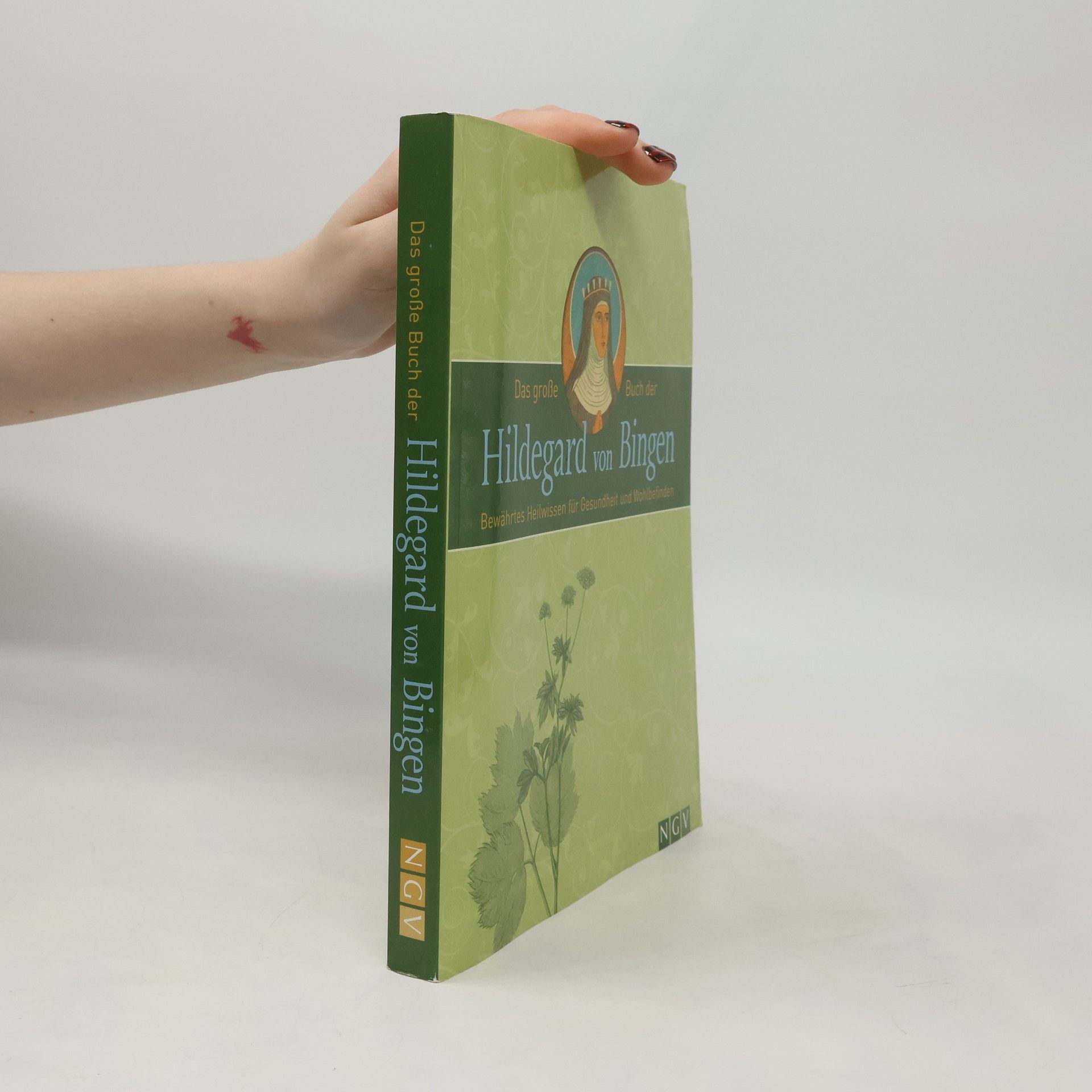 Autores varios Das große Buch der Hildegard von Bingen