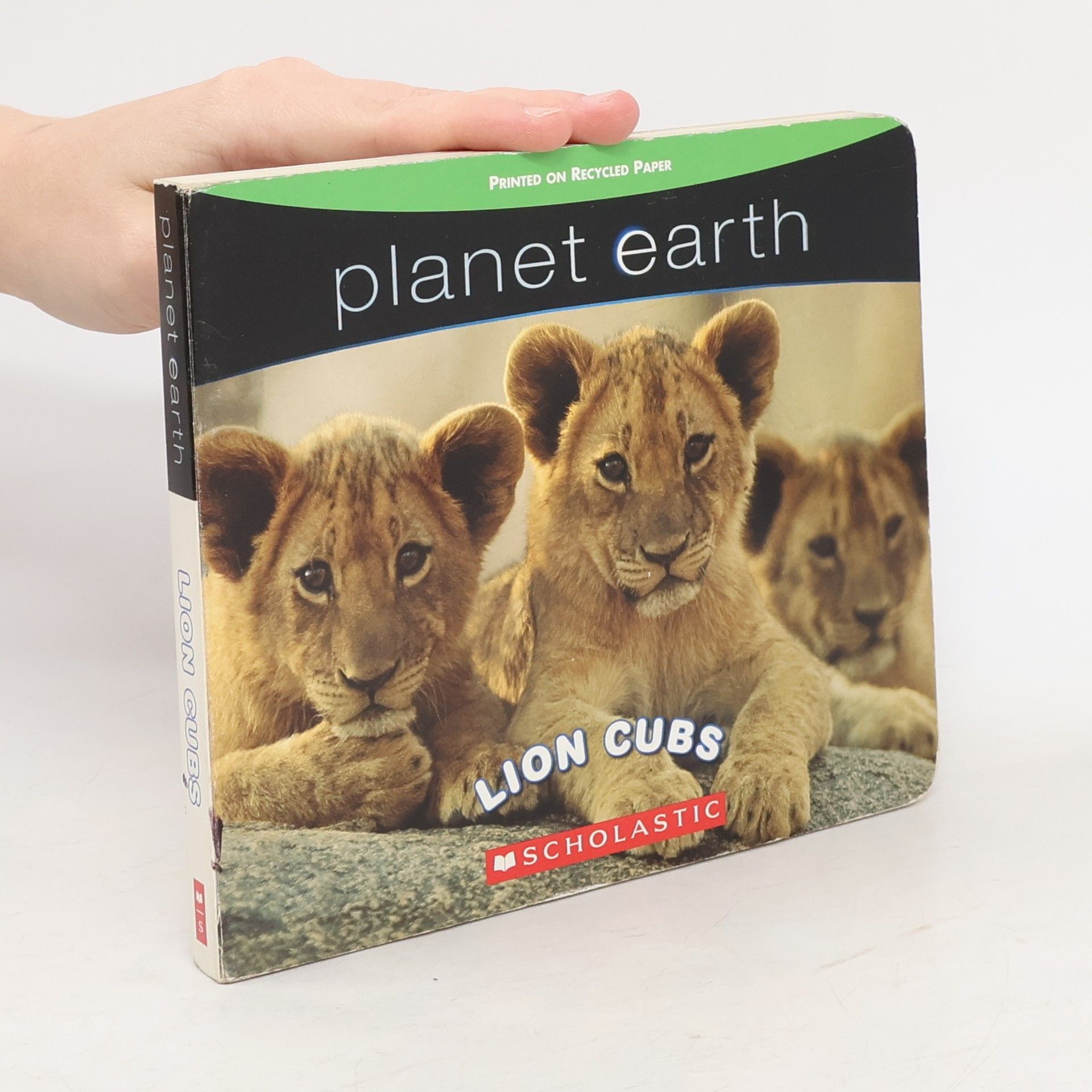 Scholastic Inc Planet Earth: Lion Cubs