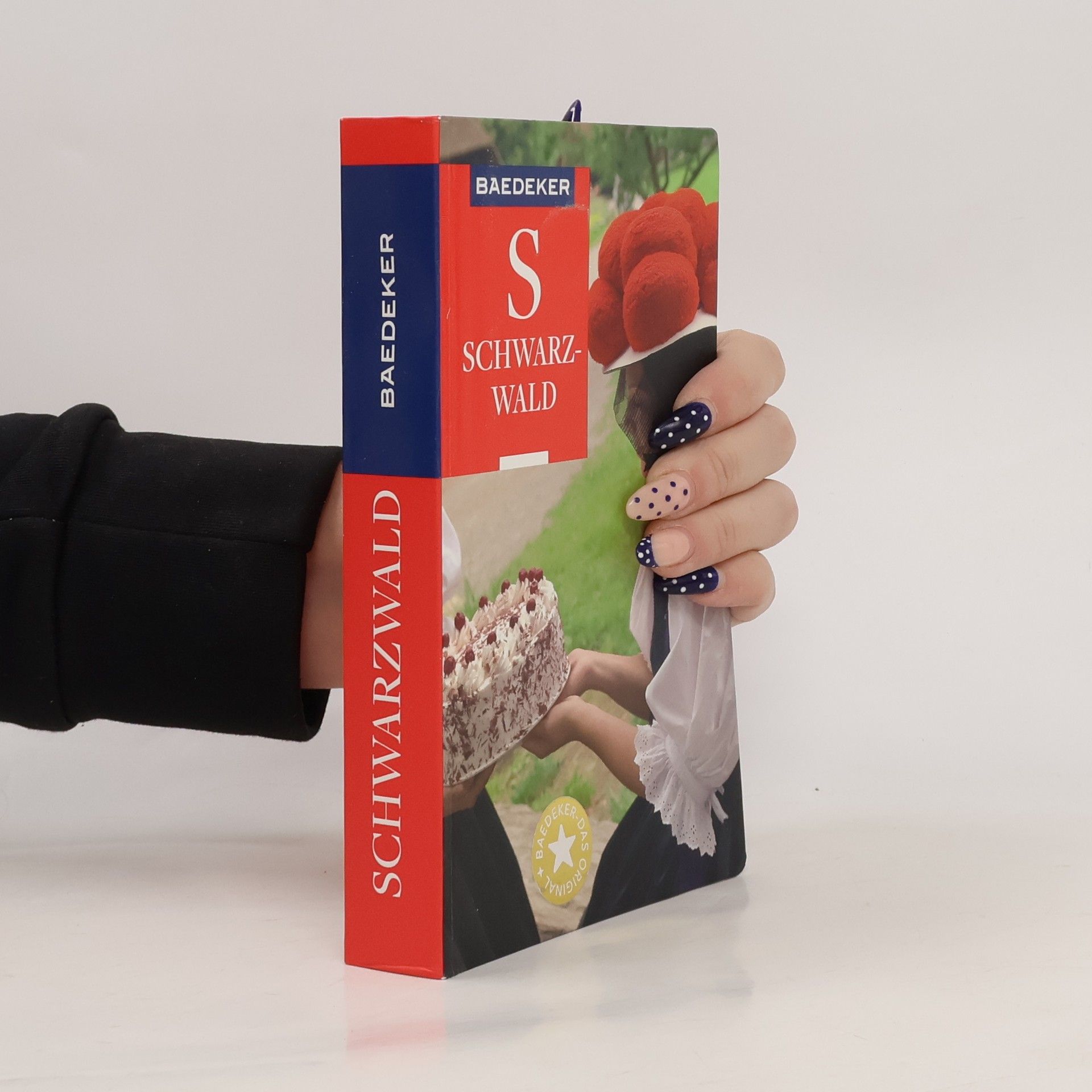 Helmut Linde Baedeker Reiseführer: Schwarzwald