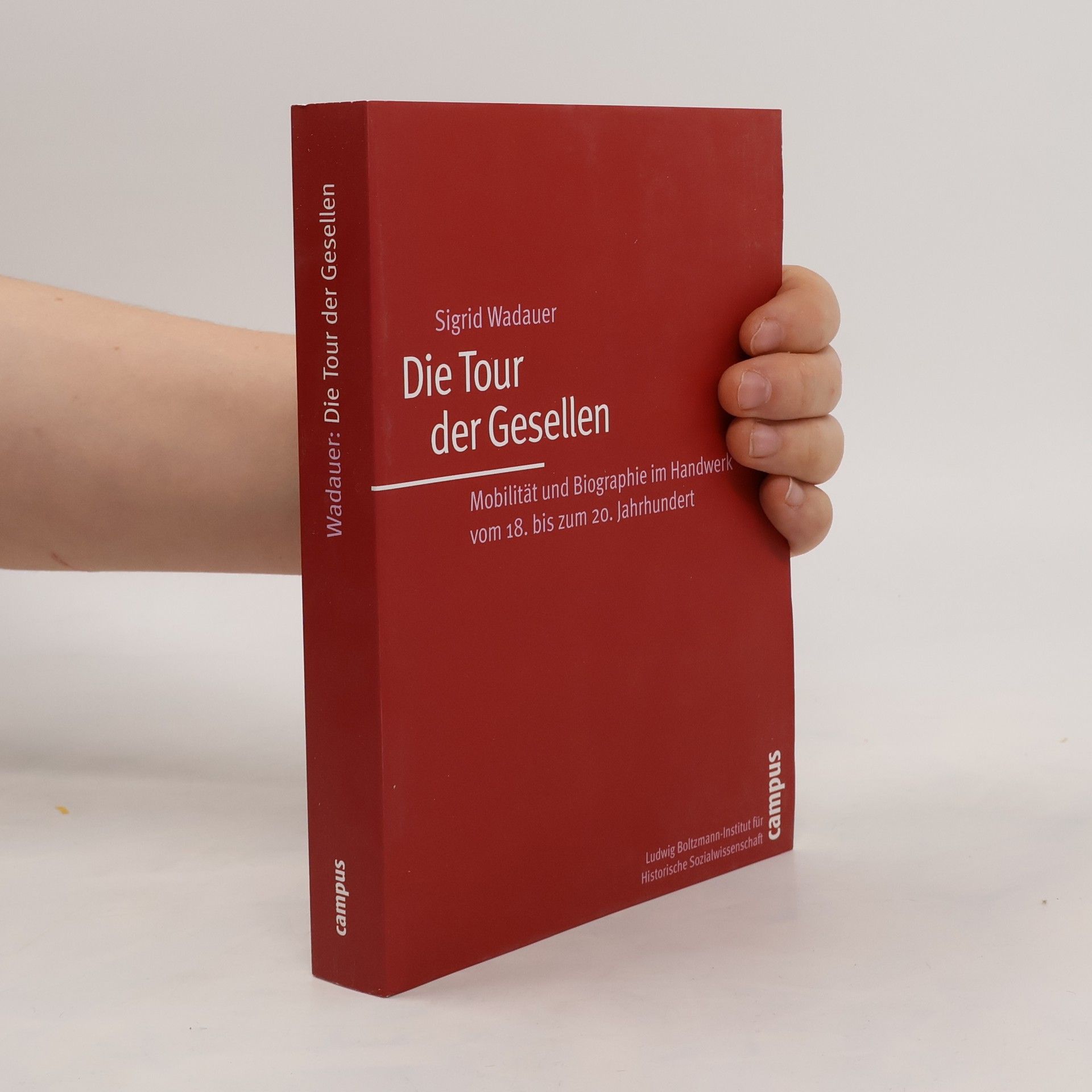 Sigrid Wadauer Die Tour der Gesellen