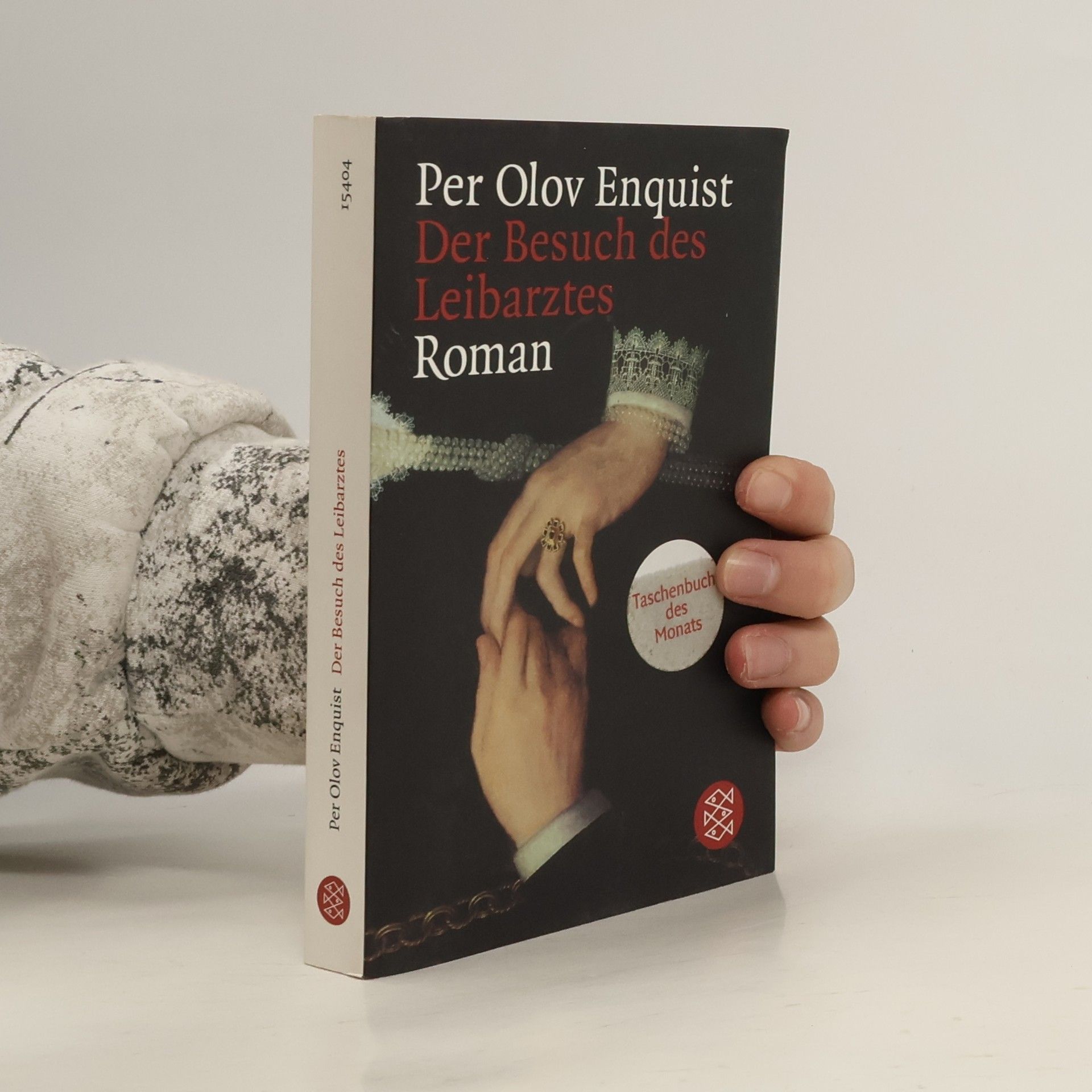 Per Olov Enquist Der Besuch : Roman
