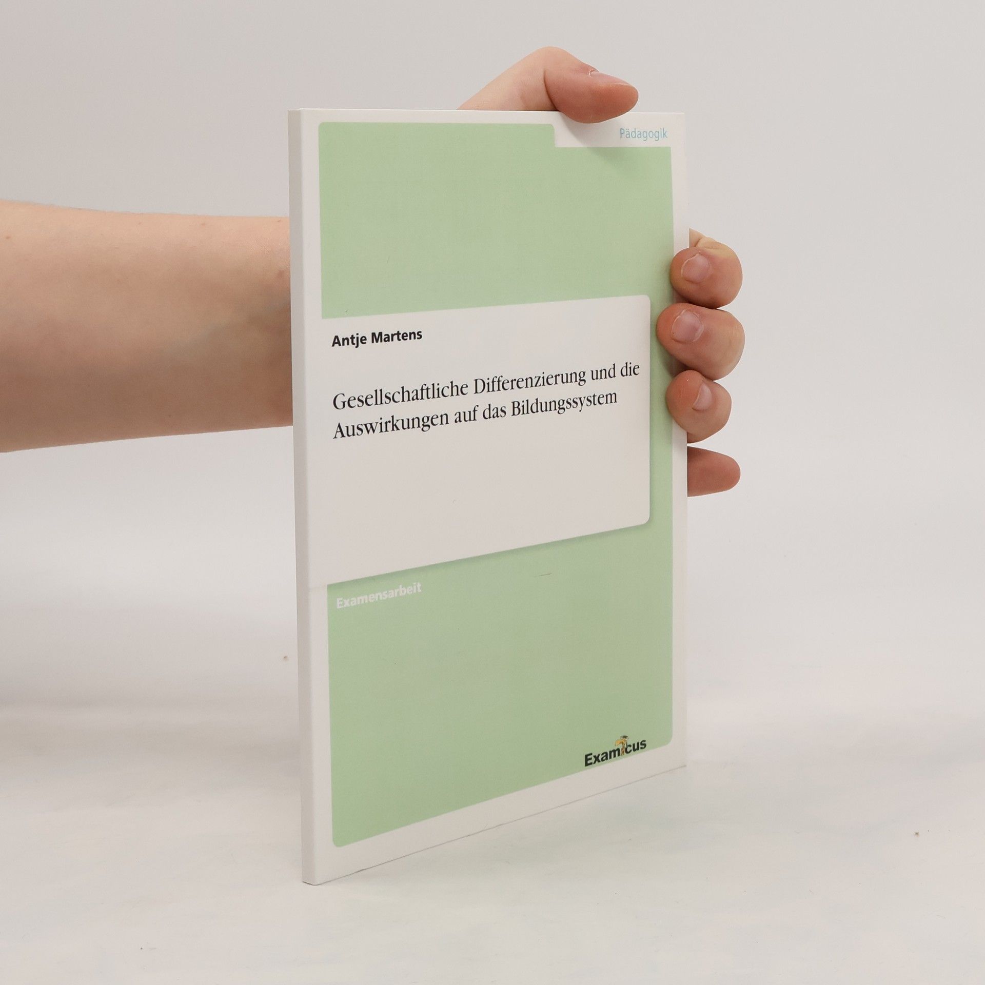 Antje Martens Gesellschaftliche Differenzierung und die Auswirkungen auf das Bildungssystem: Staatsexamensarbeit