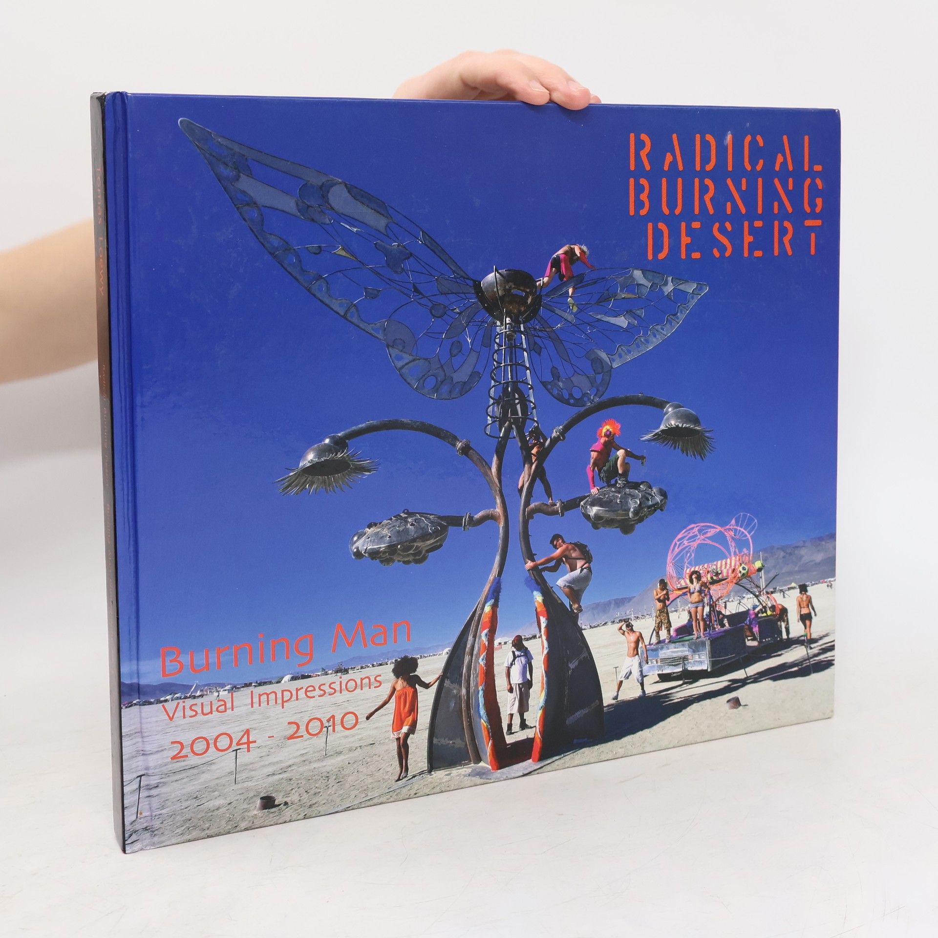 Tomas Loewy Radical Burning Desert