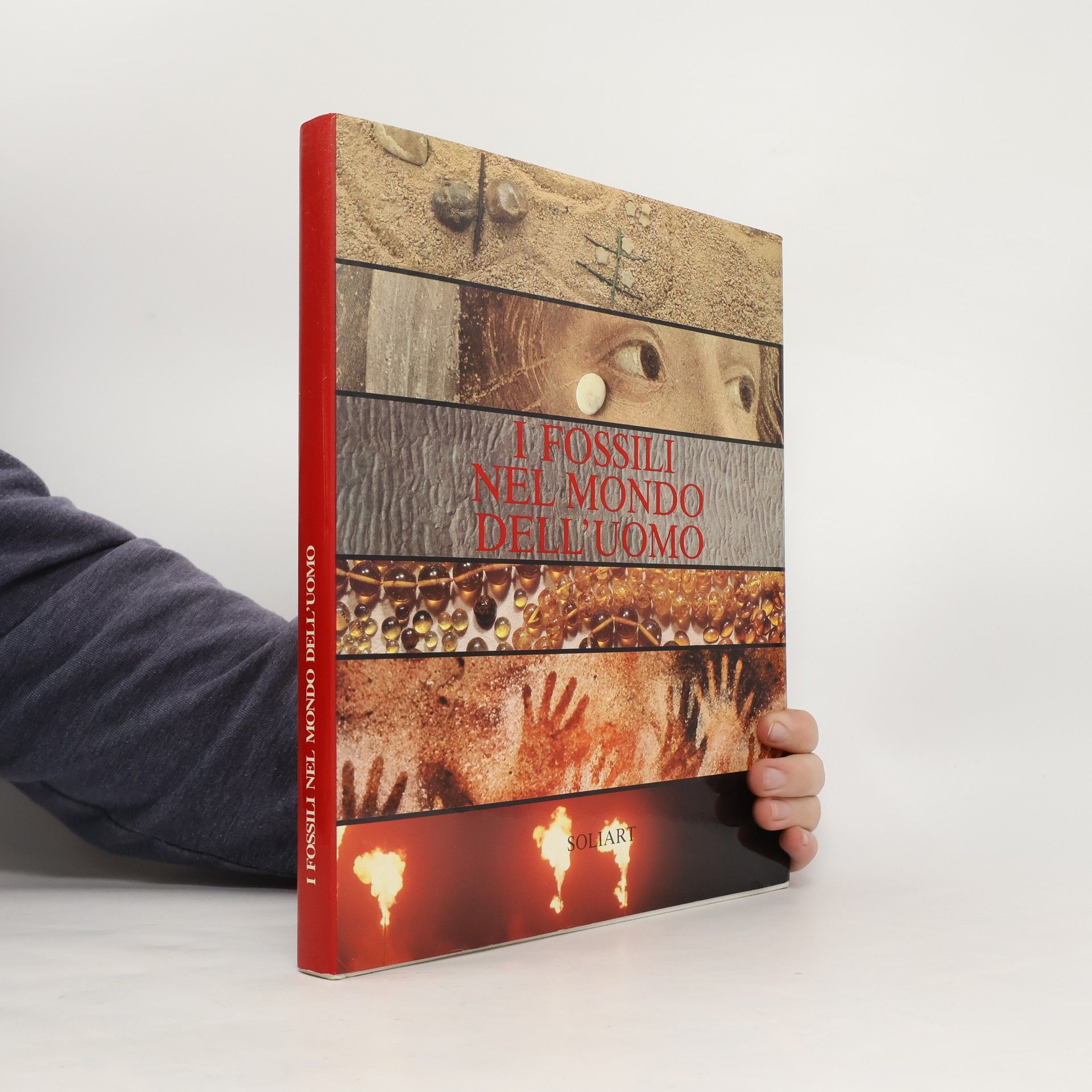 I fossili nel mondo dell'uomo