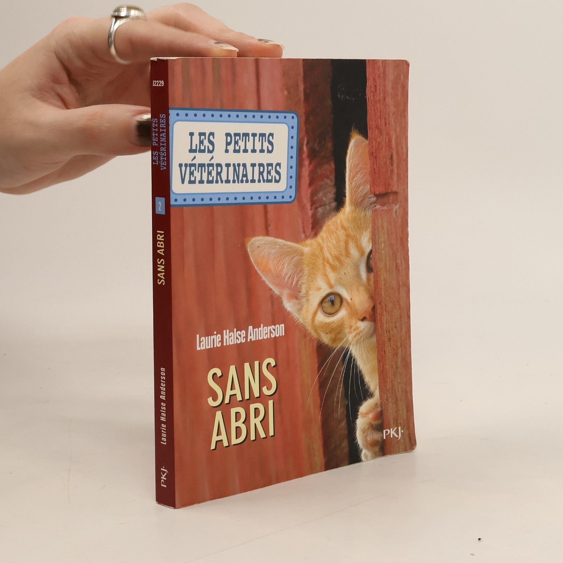 Laurie Halse Anderson Sans abri