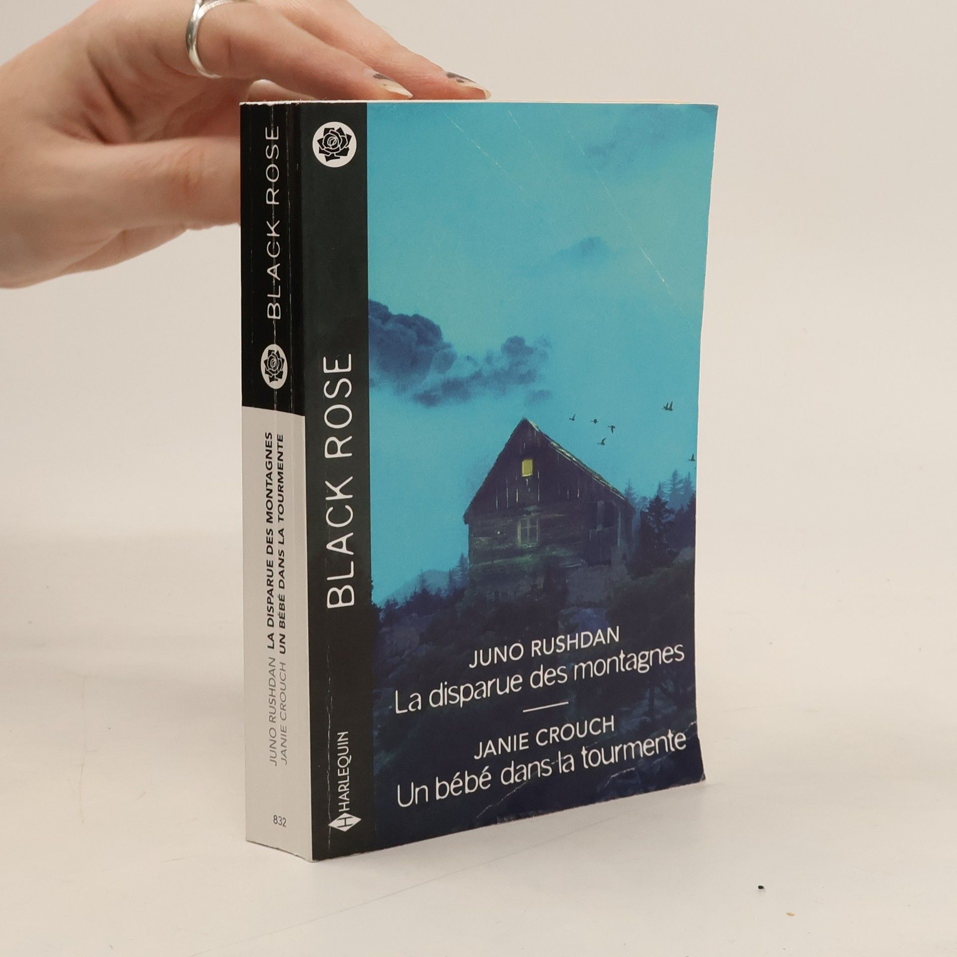 Black Rose - 832: La disparue des montagnes