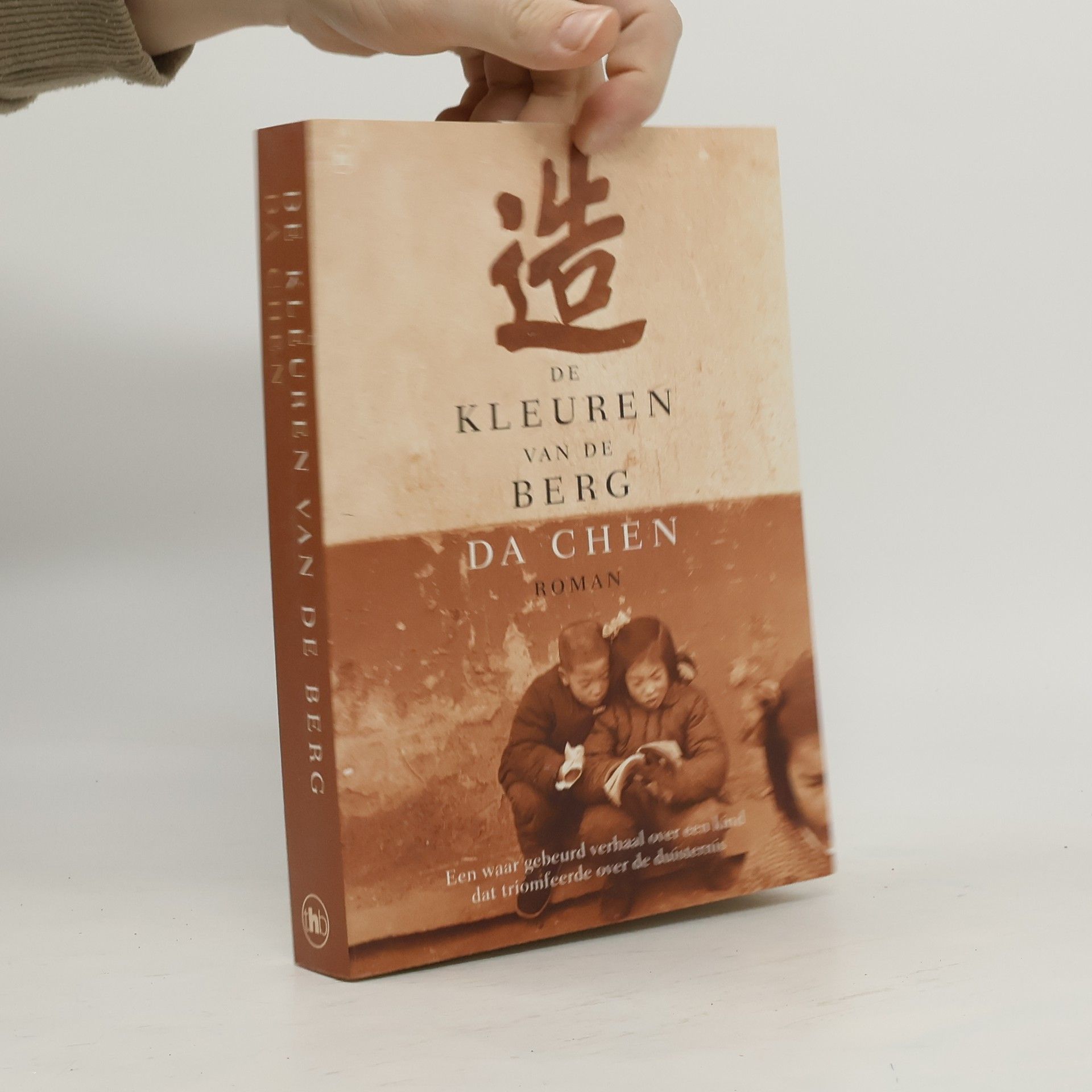 De kleuren van de berg