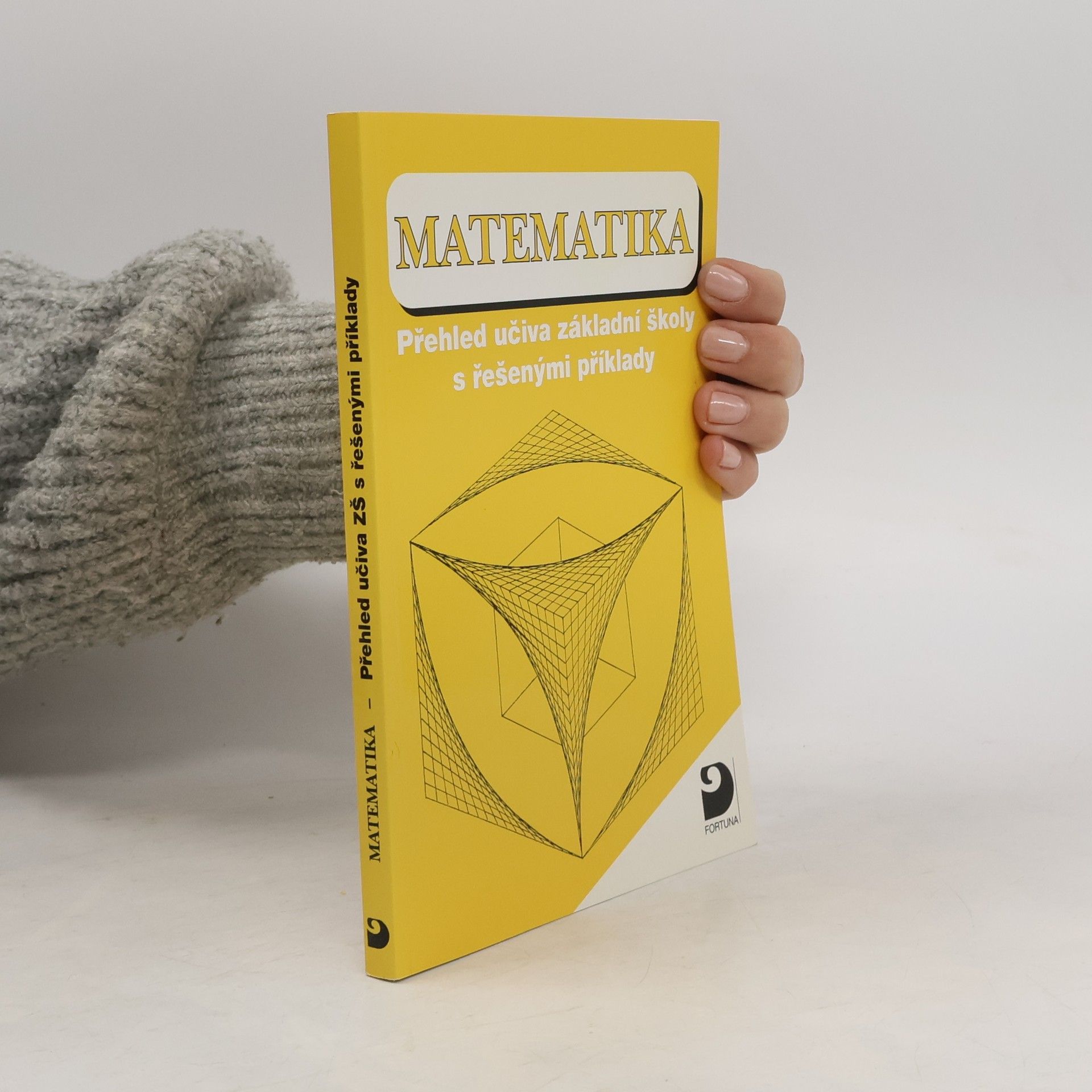 Matematika. Přehled učiva základní školy s řešenými příklady