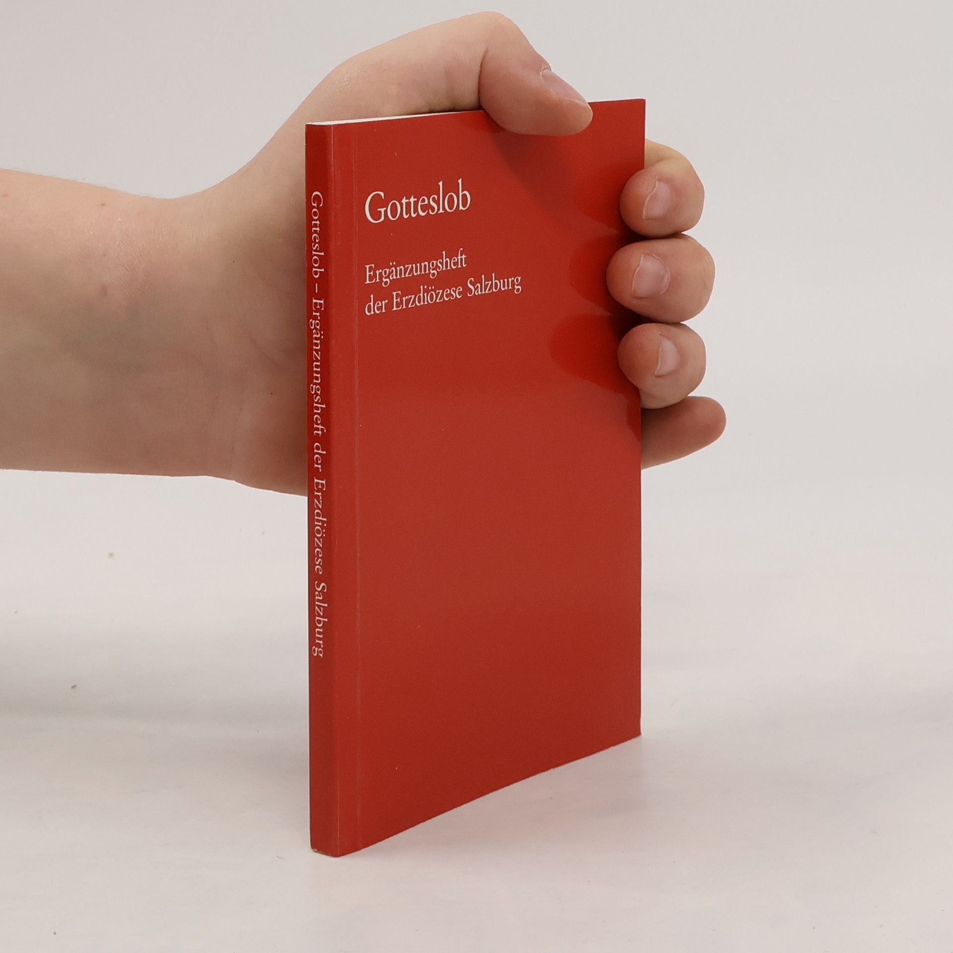 Kolektiv autorů Gotteslob: Ergänzungsheft der Erzdiözese Salzburg