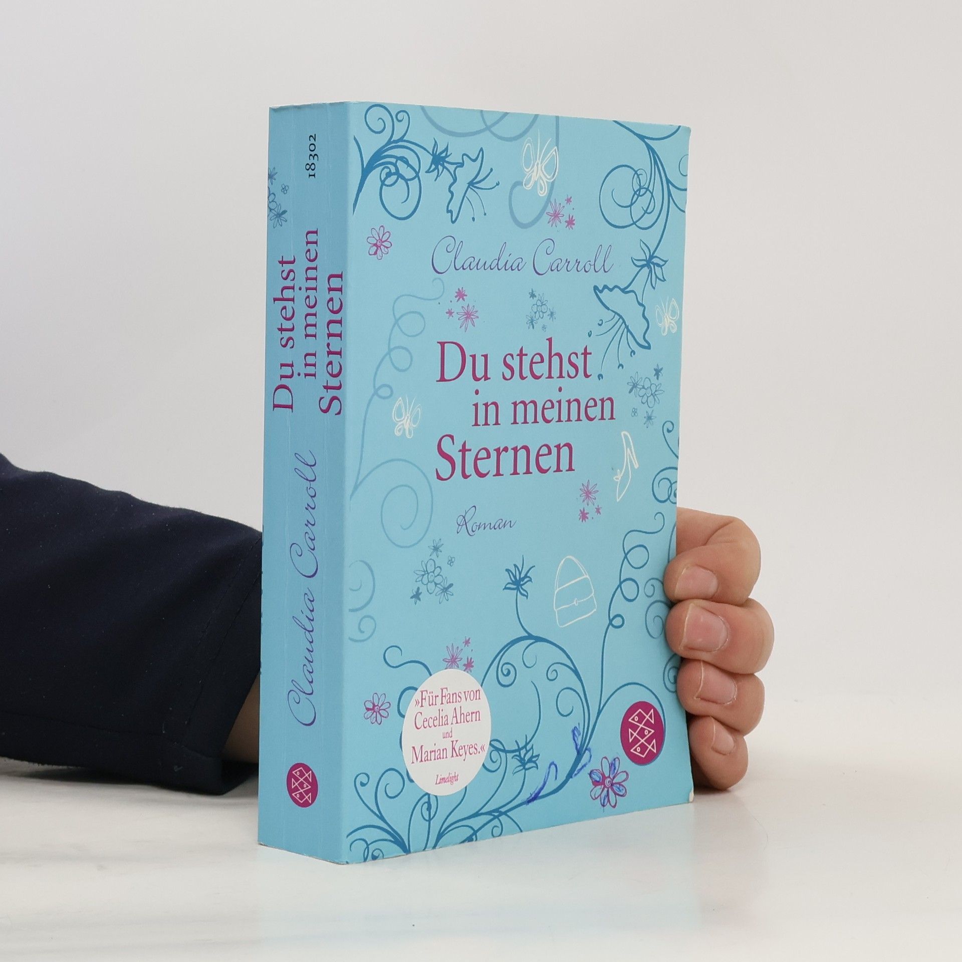 Claudia  Carroll Du stehst in mein Sternen