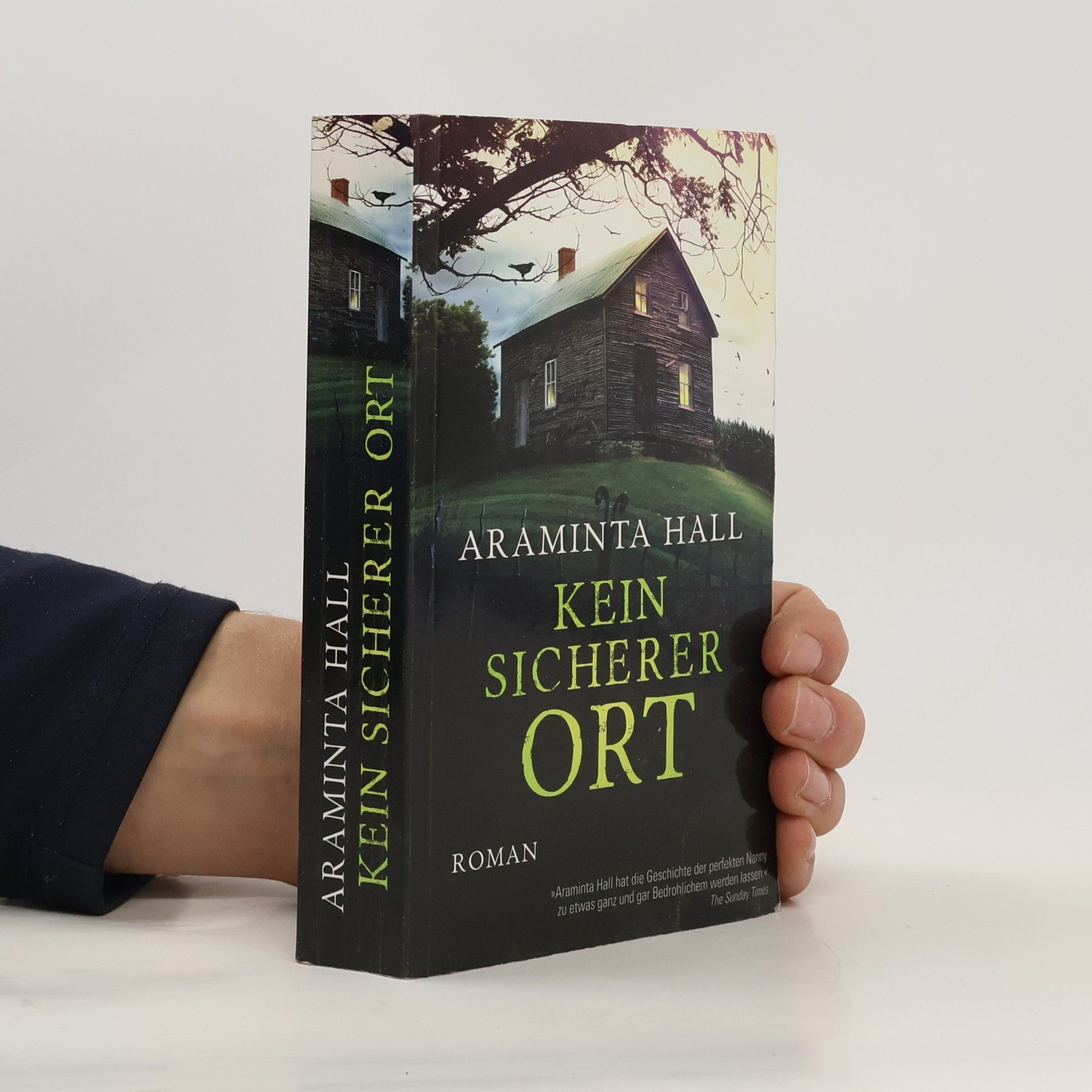 Araminta Hall Kein sicherer Ort