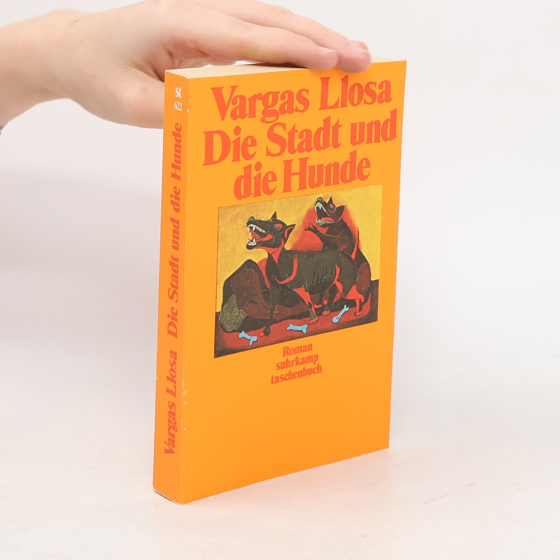 Mario Vargas Llosa Die Stadt und die Hunde: Roman