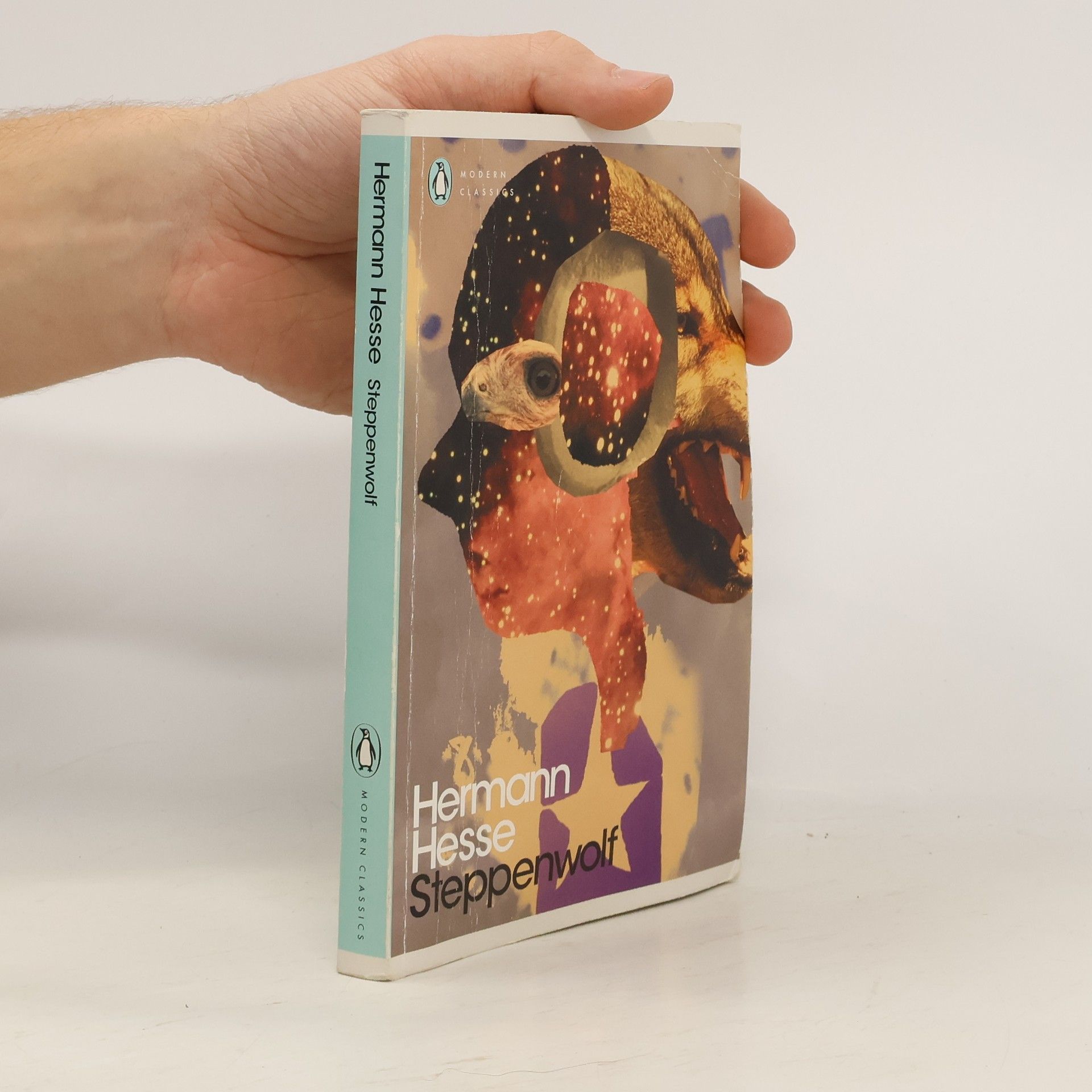 Hermann Hesse Steppenwolf