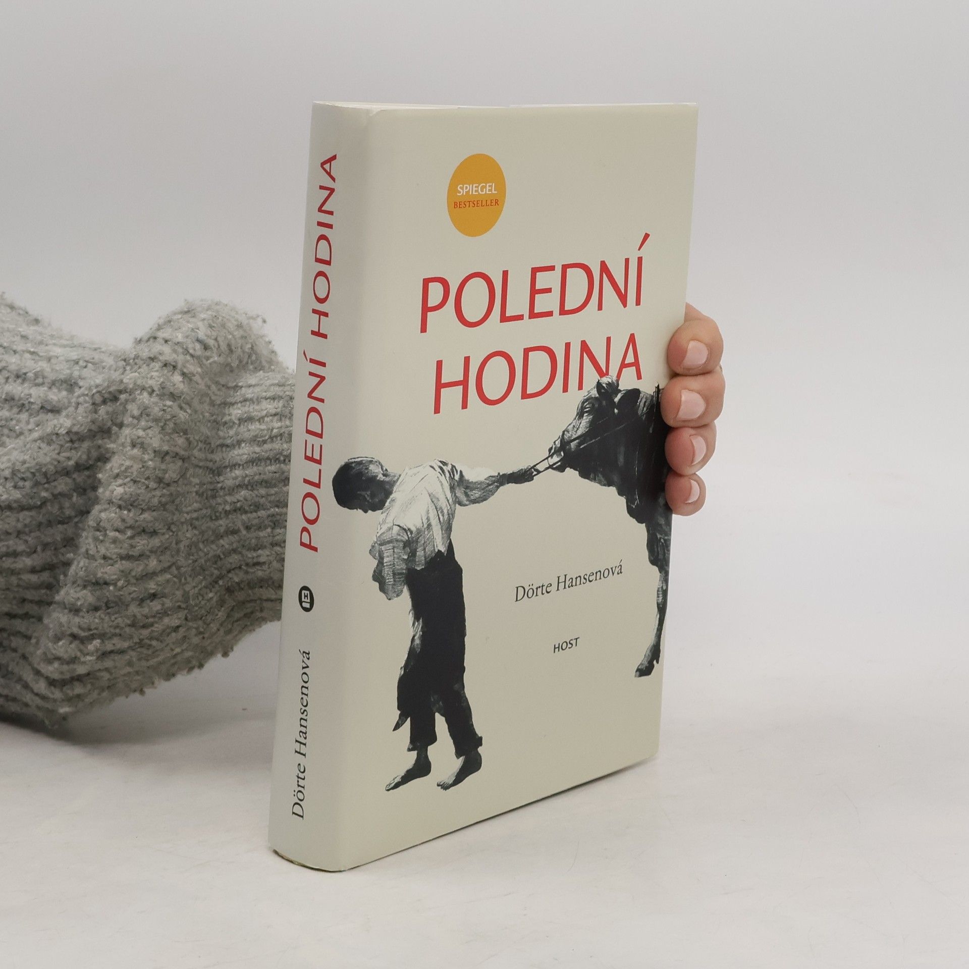 Dörte Hansen Polední hodina