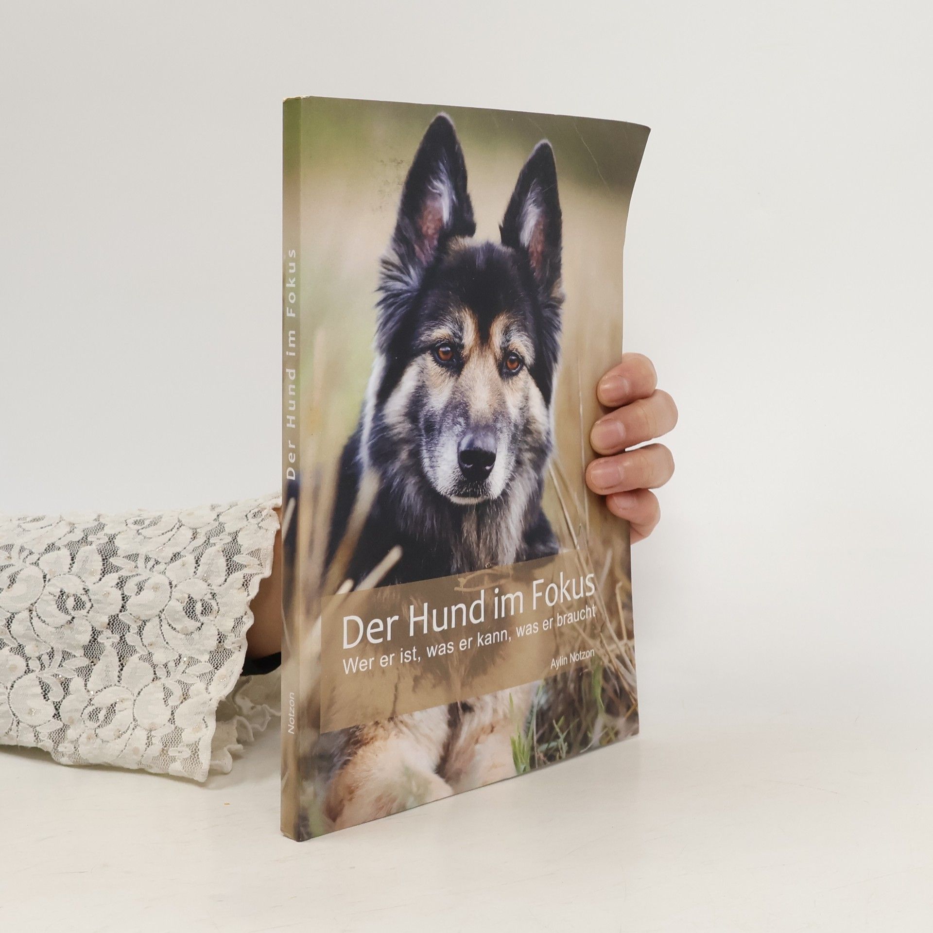 Aylin Notzon Der Hund im Fokus