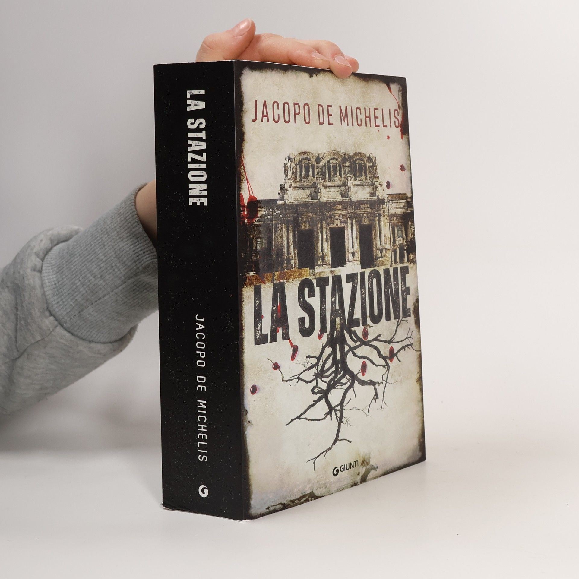 Jacopo De Michelis La stazione